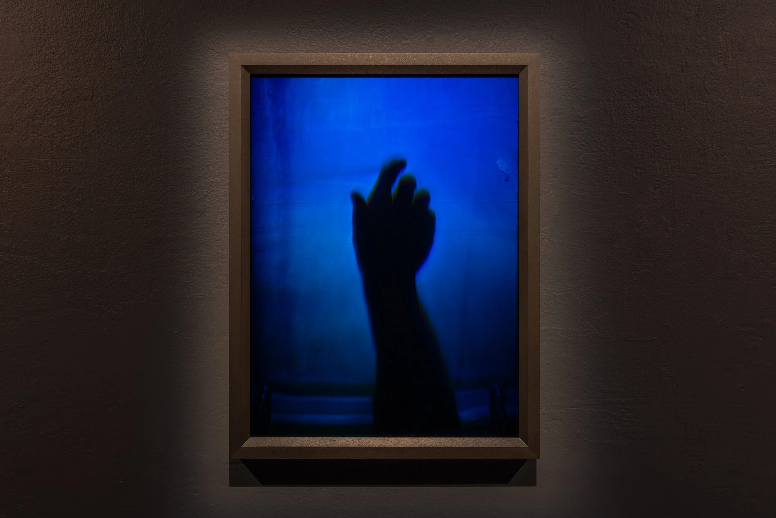 Bowie (1), 2016, 16x12" Reflection Hologram