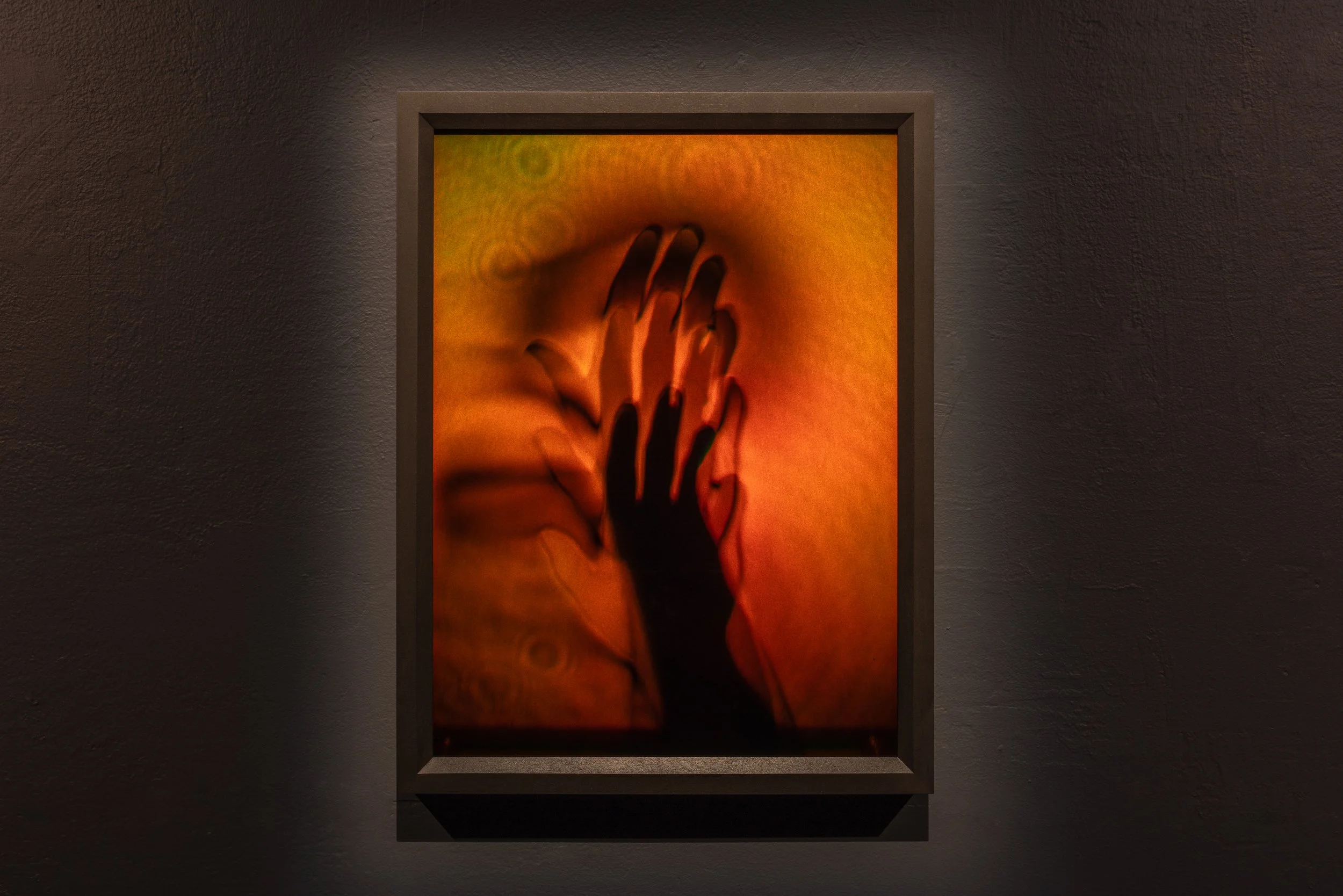 Bowie (5), 2016, 16x12" Reflection Hologram