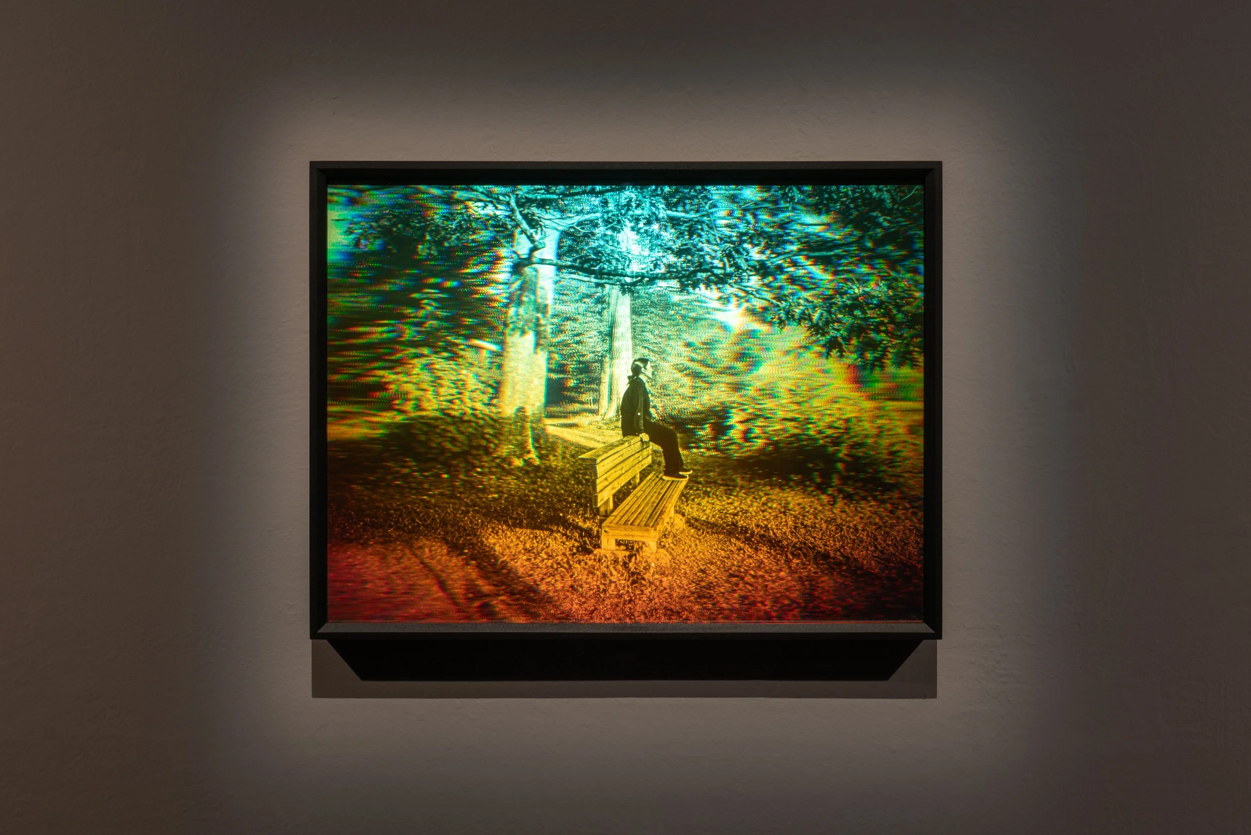 Lily Dale (Benedicte), 2022, 12x16" Transmission Hologram
