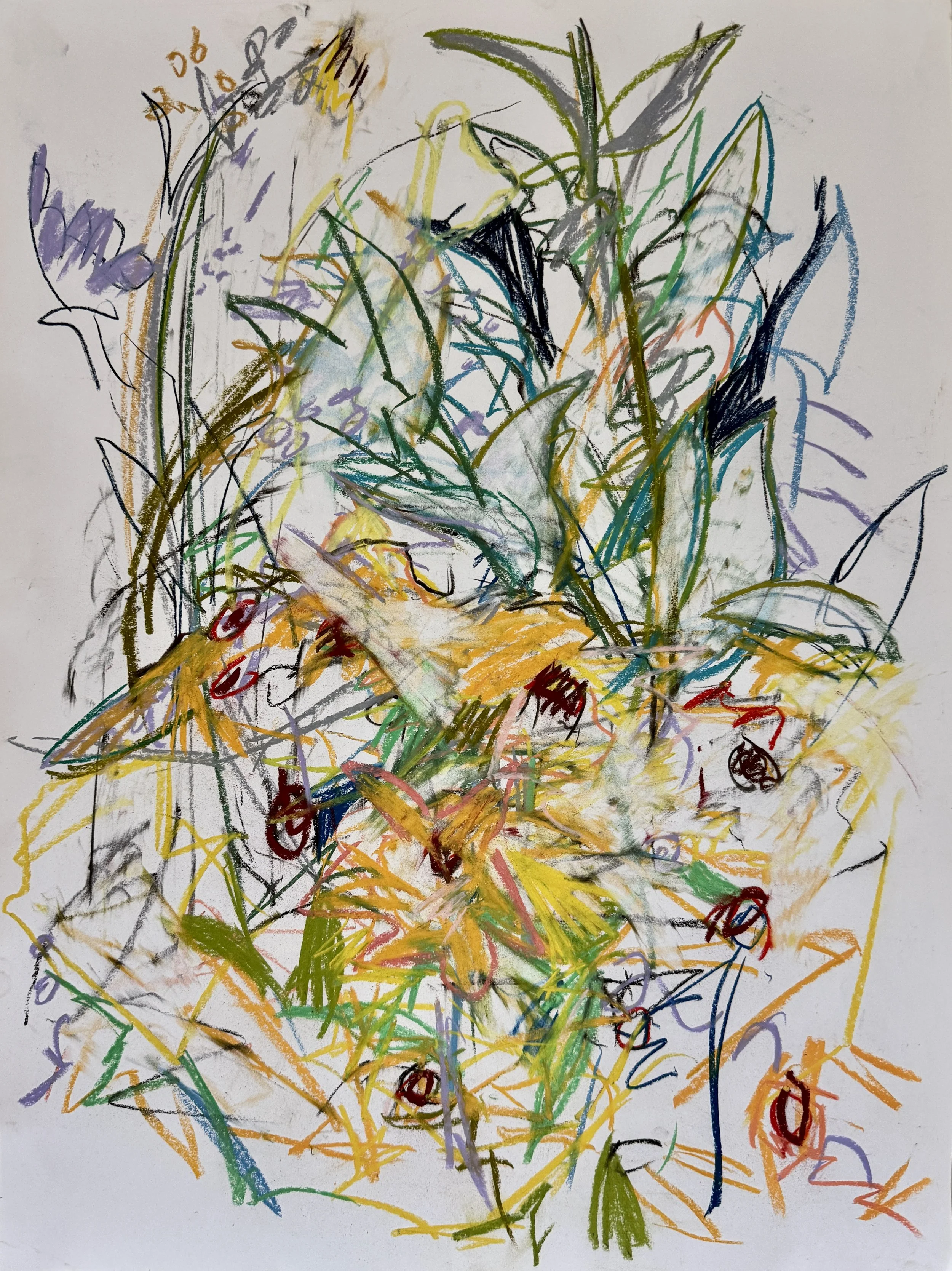 Rendezvous Arts Fred Draper  international friendship garden pastel on paper.jpeg