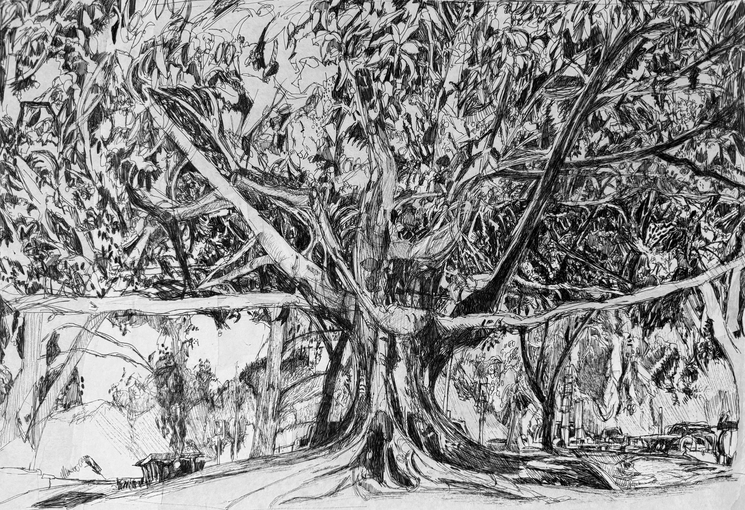 Rendezvous Arts Fred Draper  rancho park ink on paper.jpeg