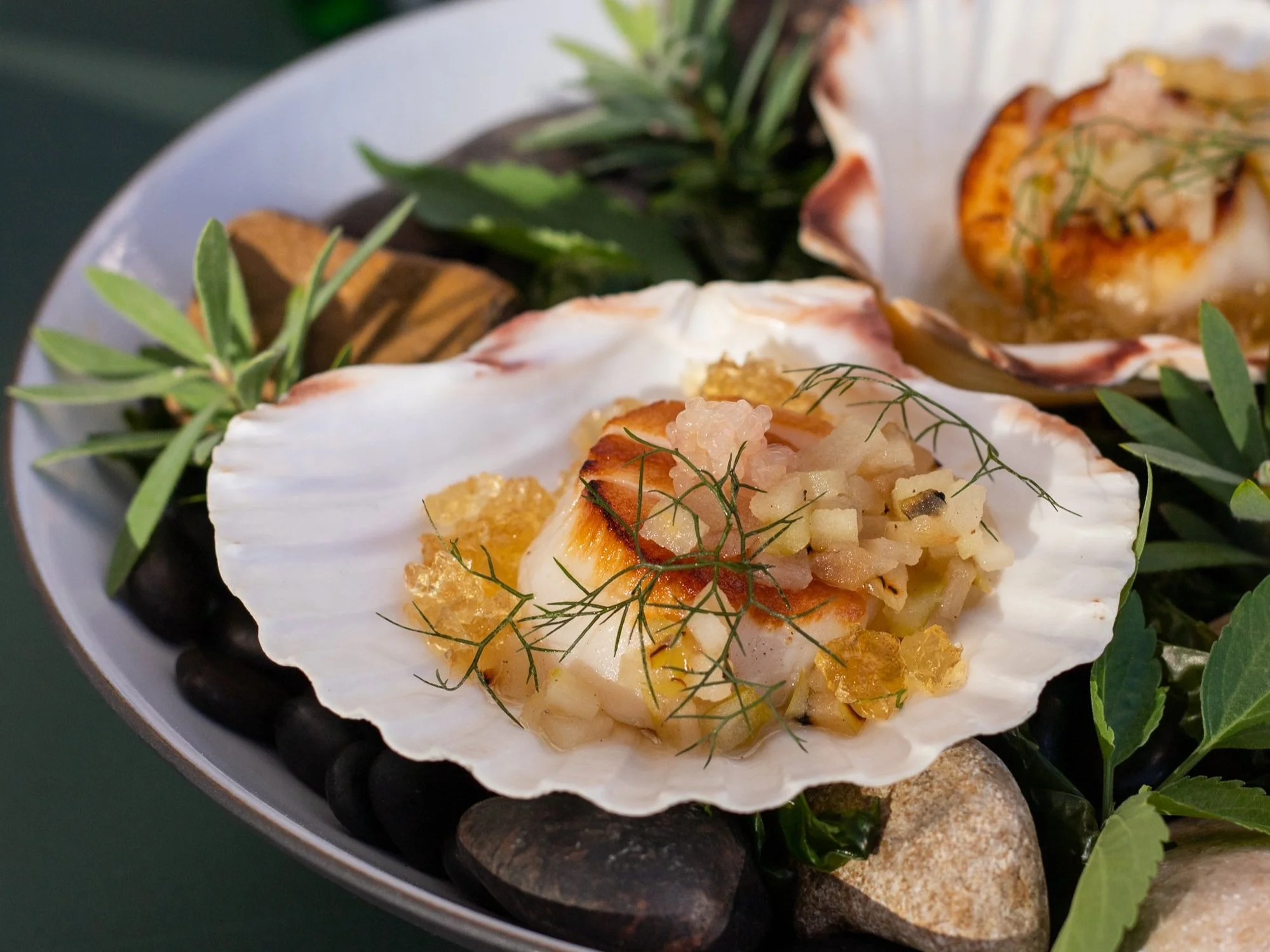 StarChefs Recipe Diver Sea Scallops