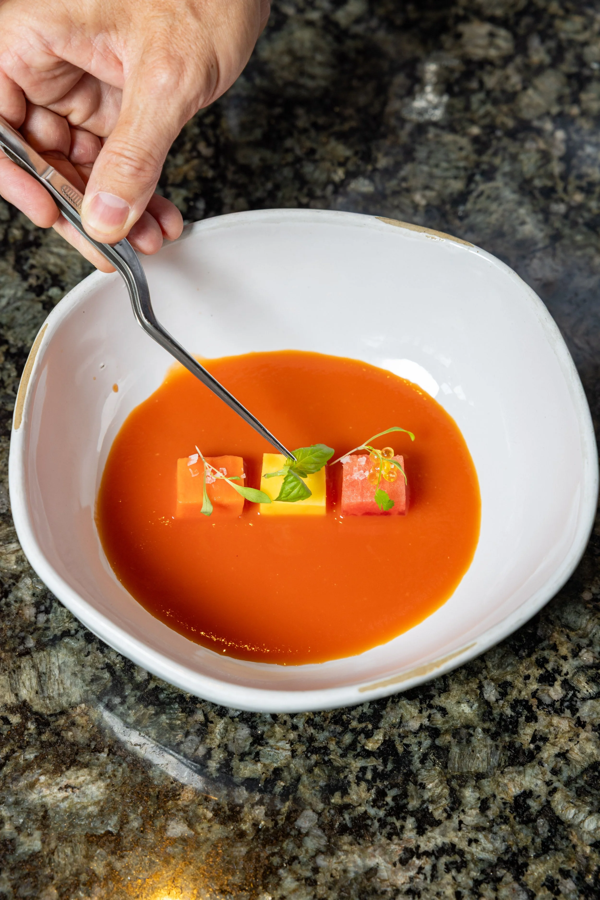 Watermelon Gazpacho