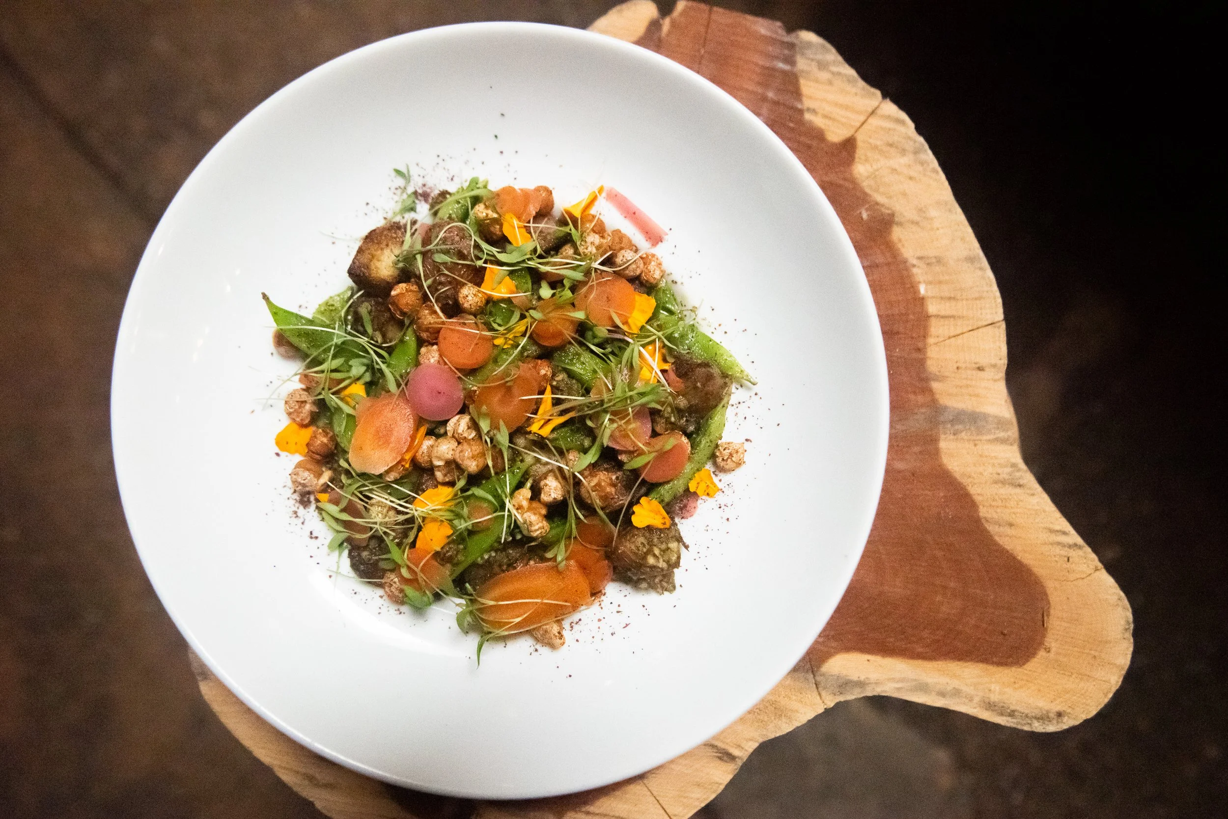 Chef Andrea Shackelford of Harvest Seasonal Kitchen | McKinney, 