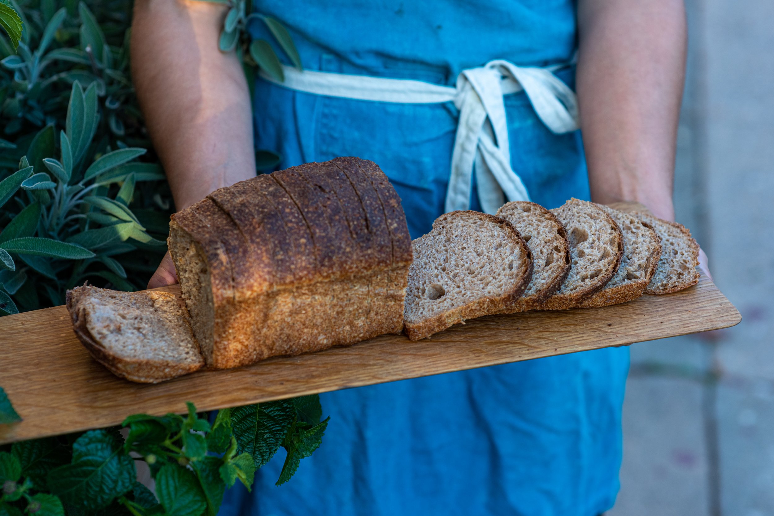 Bakers Maya Muñoz &amp; Russell Trimmer of Motzi Bread | Baltimore, MD