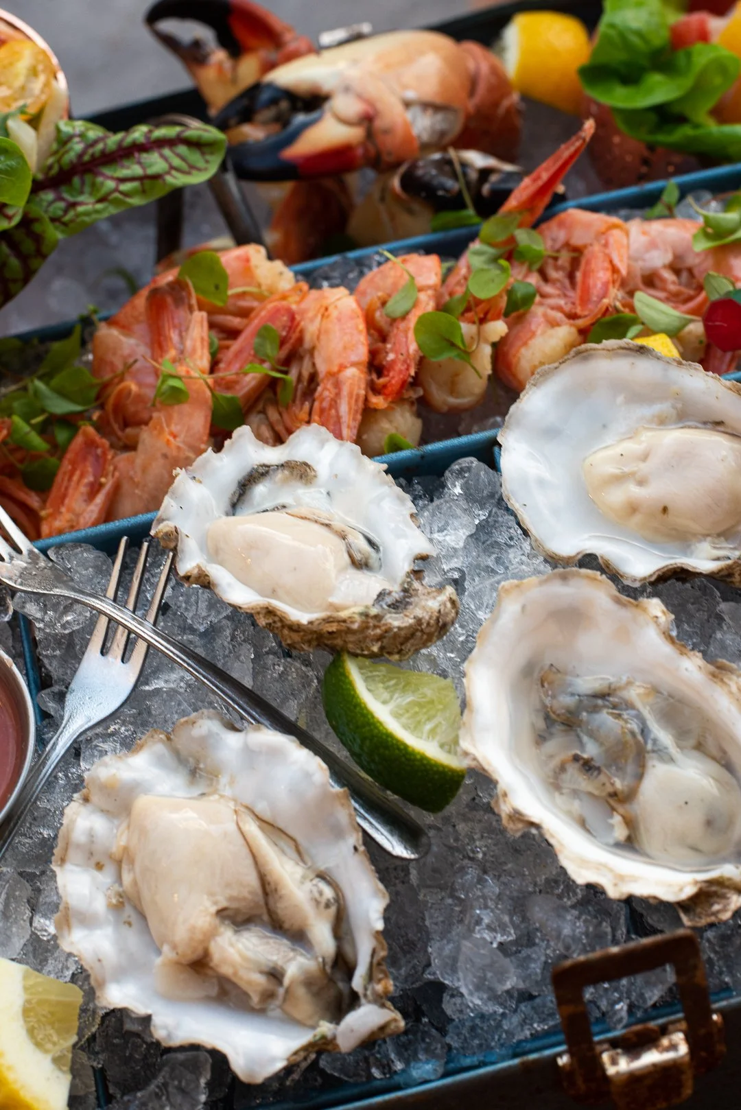 StarChefs Chef Jeff McInnis of Stiltsville Fish Bar Miami