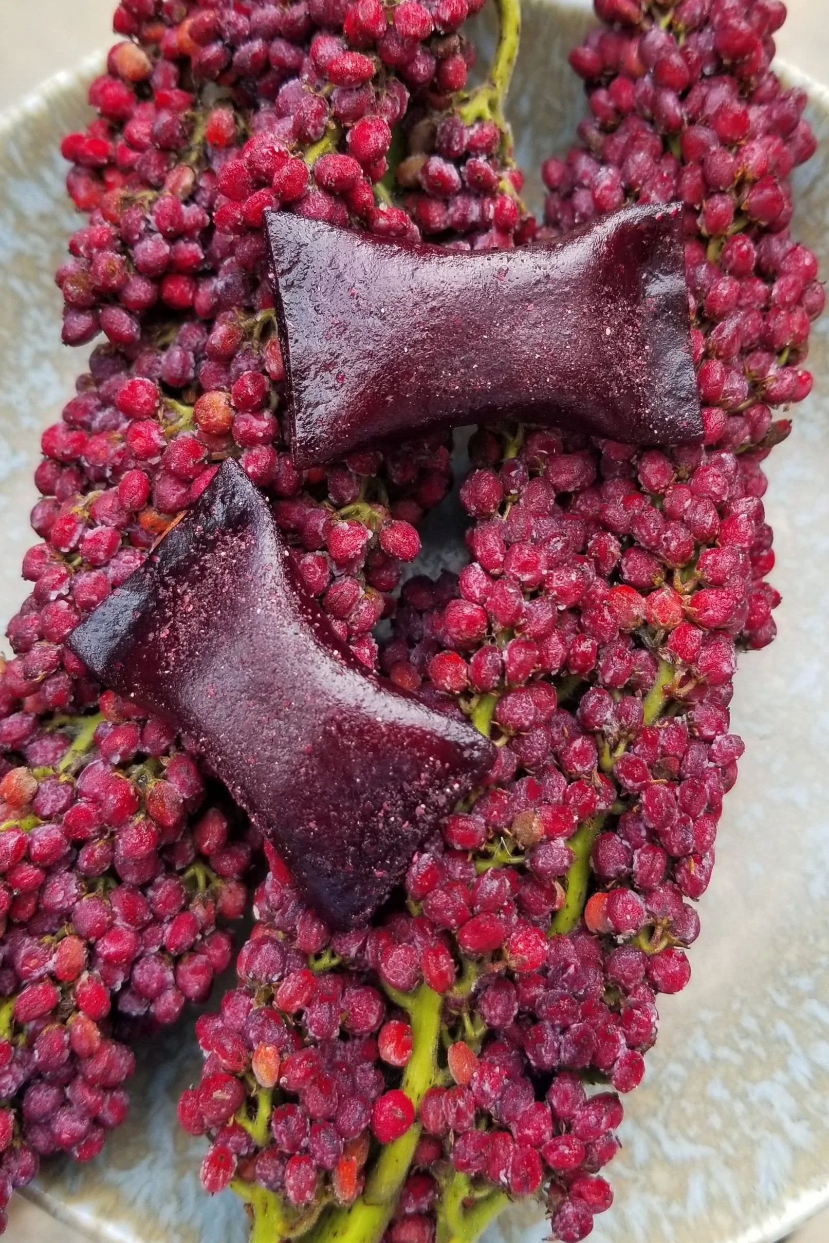 Cookie Butter-Stuffed Fruit Leather