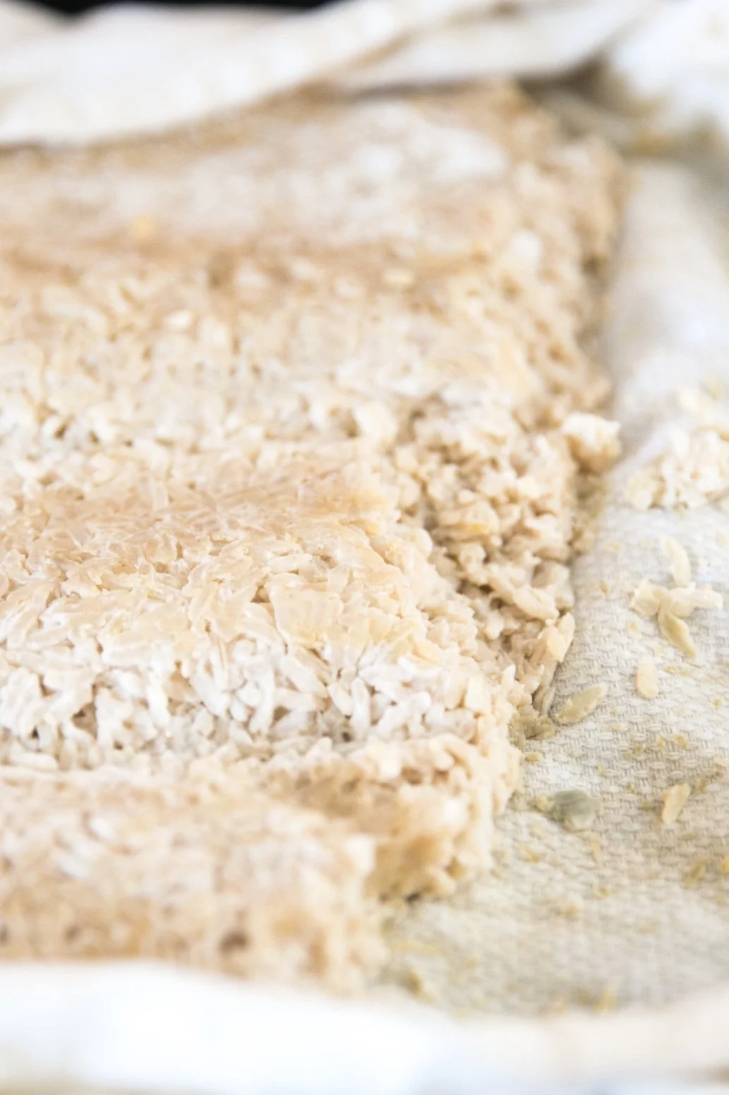 Koji-Aged Veal