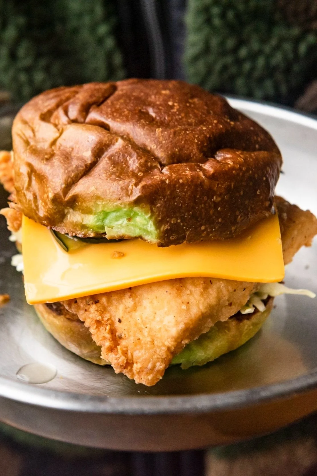Fried Catfish Sandwich