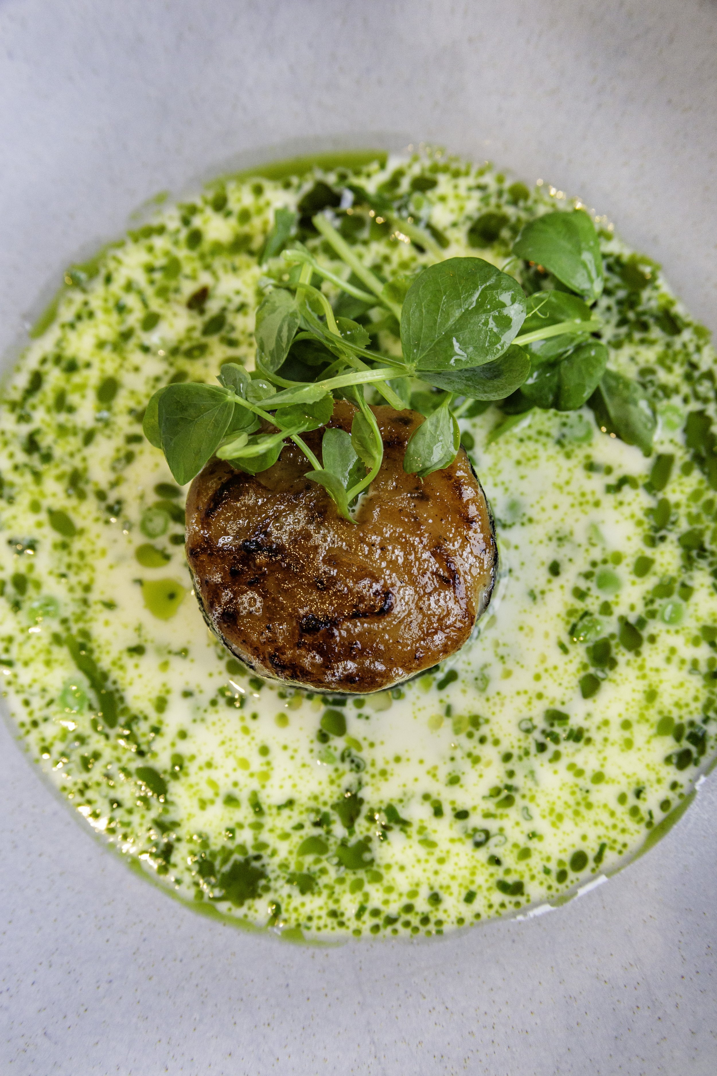 Monkfish