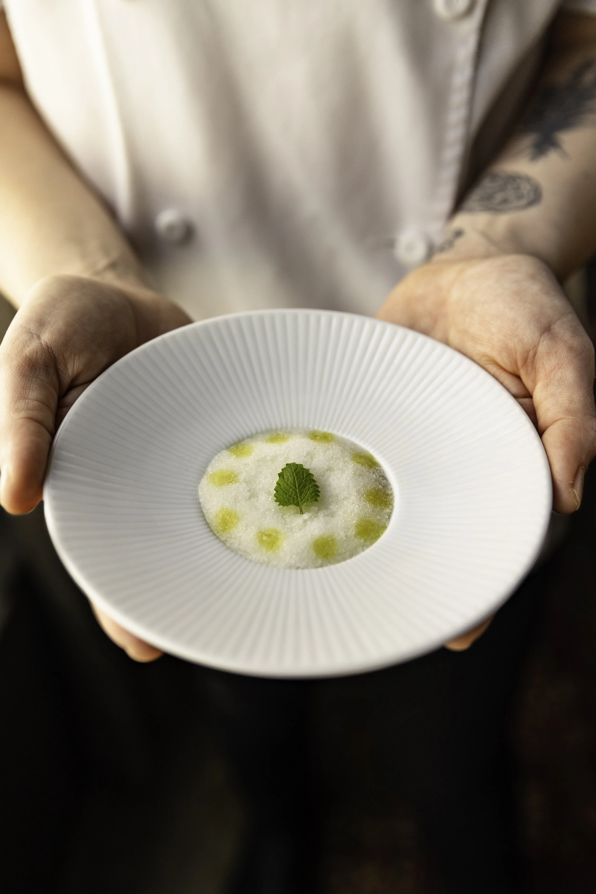 Olive Oil Sorbet