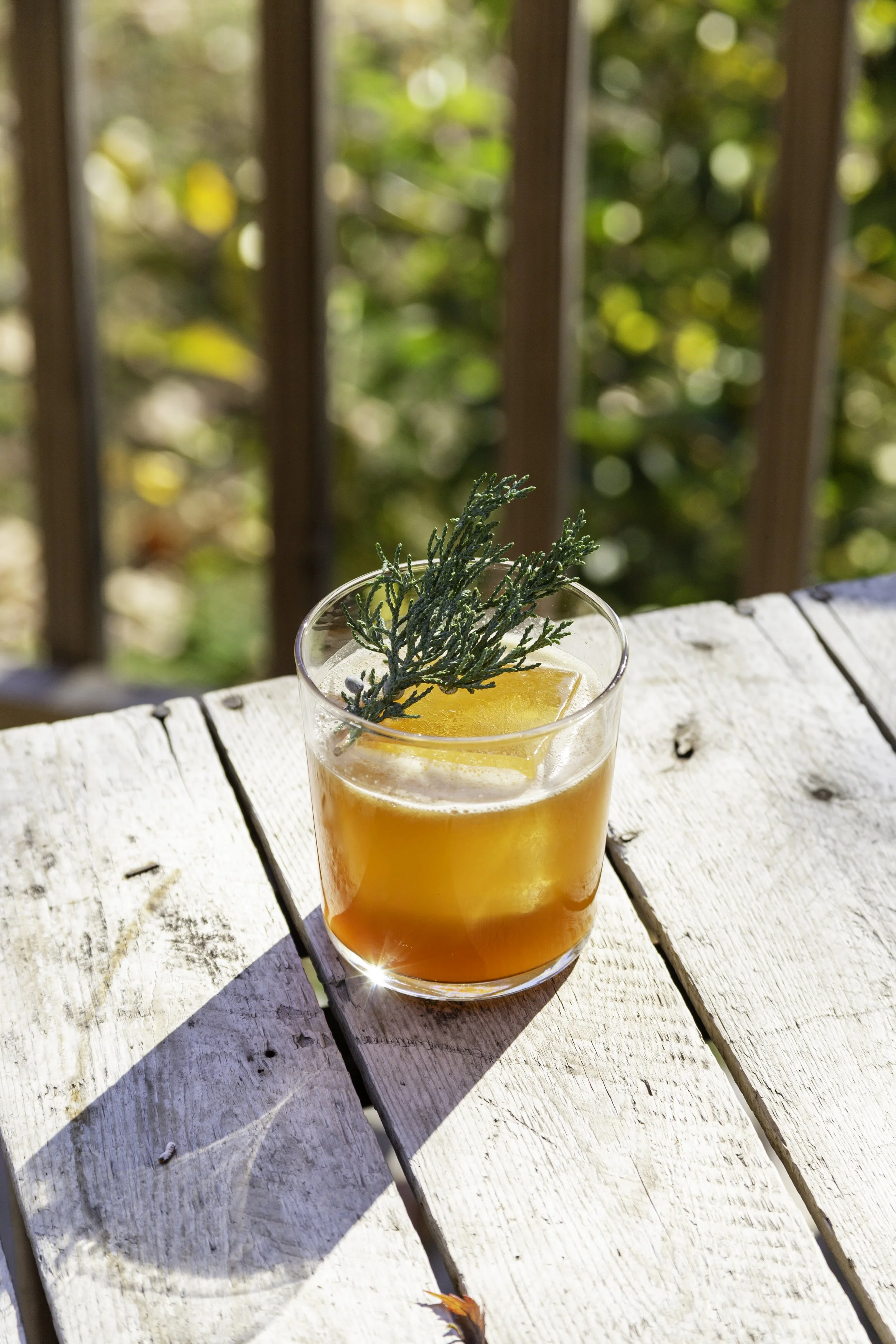 Agave and Pine