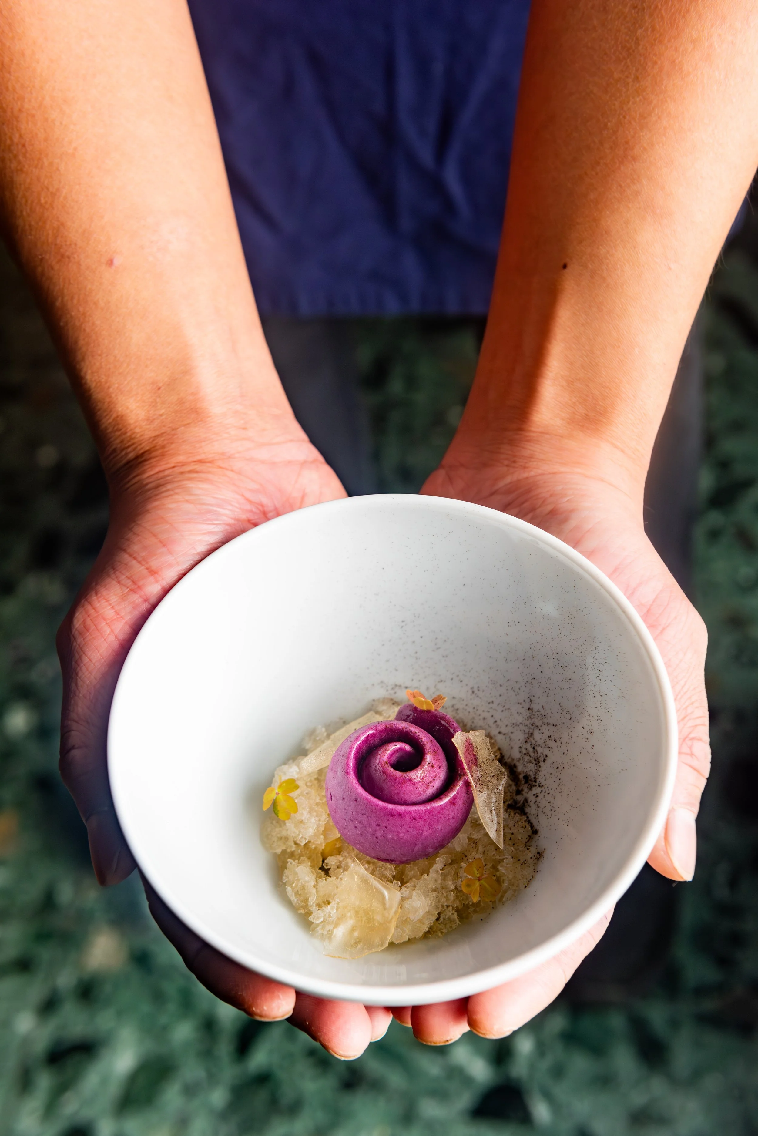 Concord Grape Sorbet