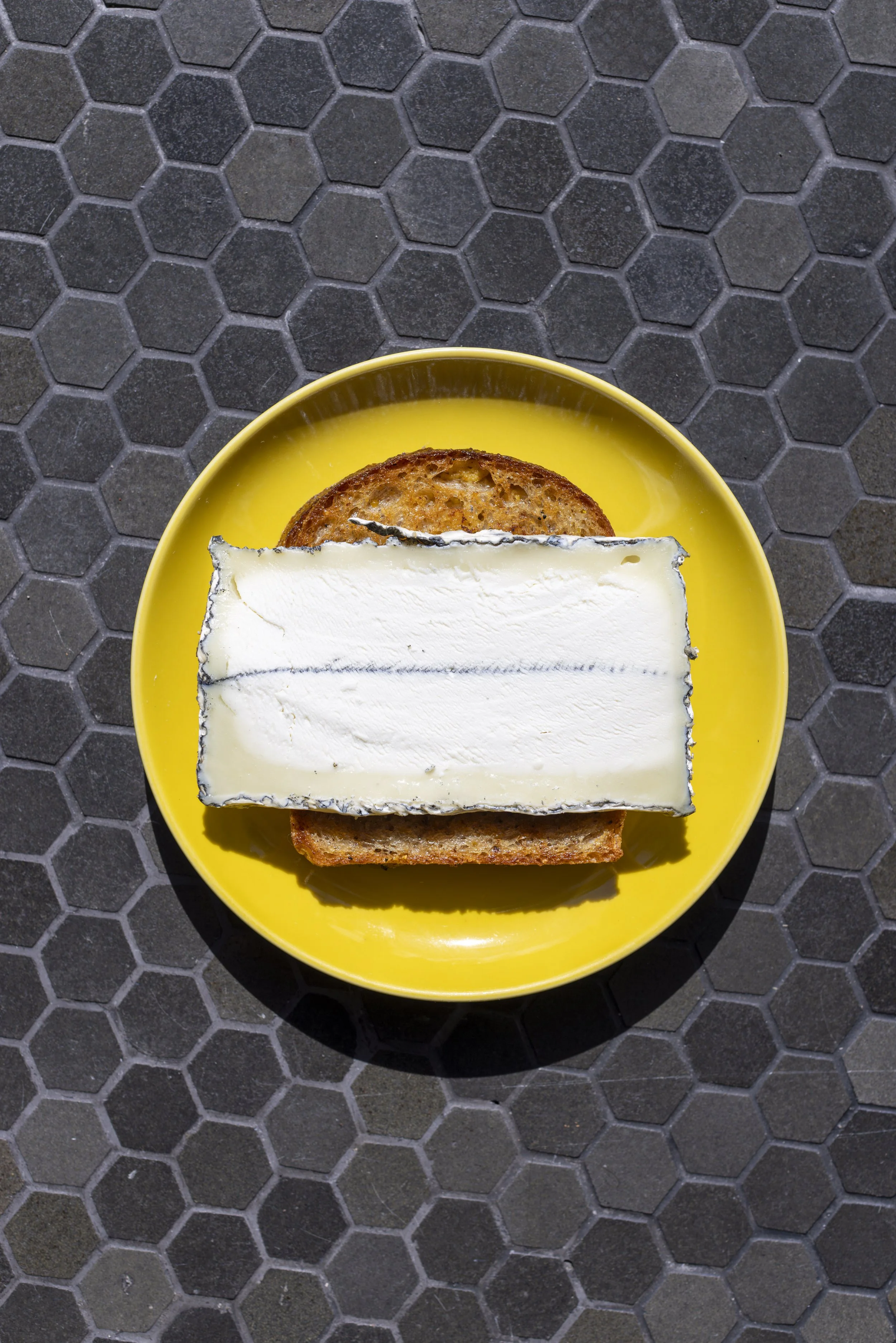 Goat Cheese Bikini