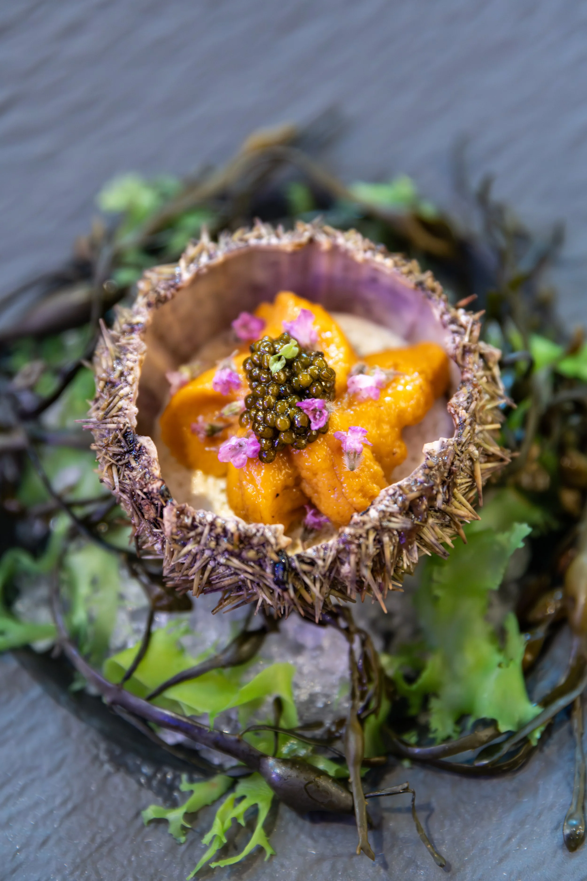 Uni Panna Cotta