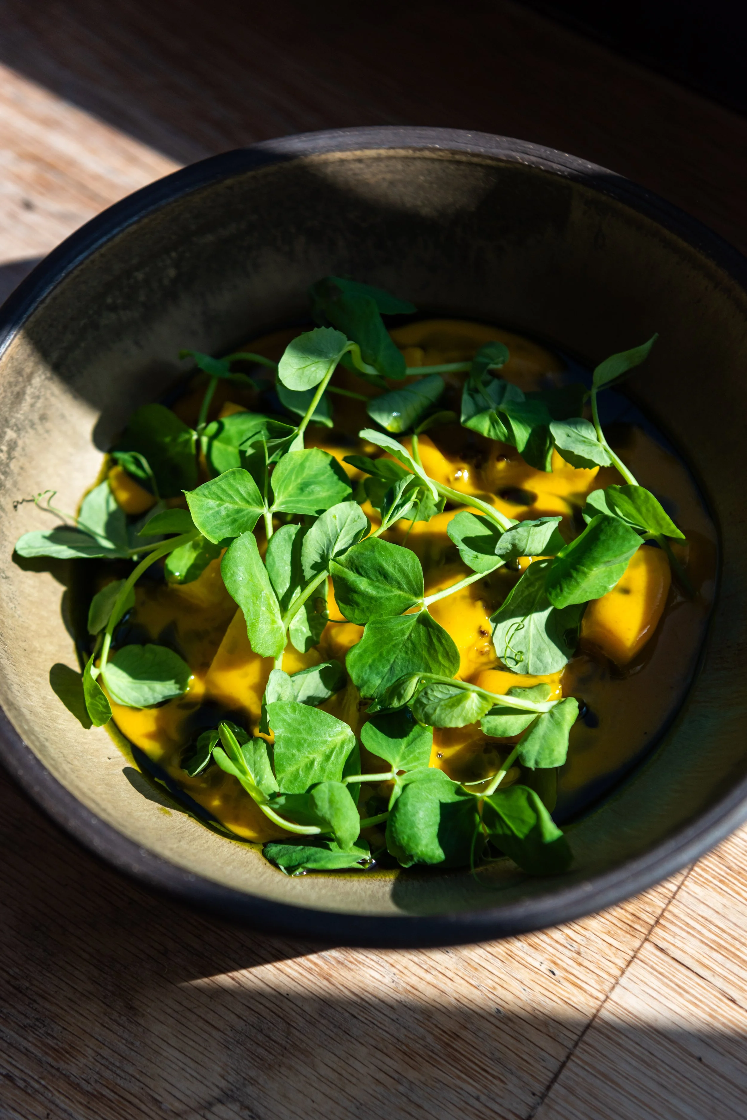 Mango Ceviche