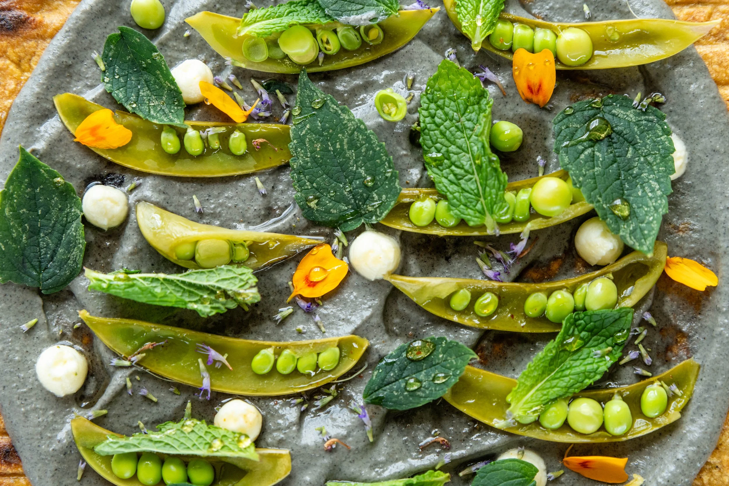 The Year in Focus: Best Photos of 2025