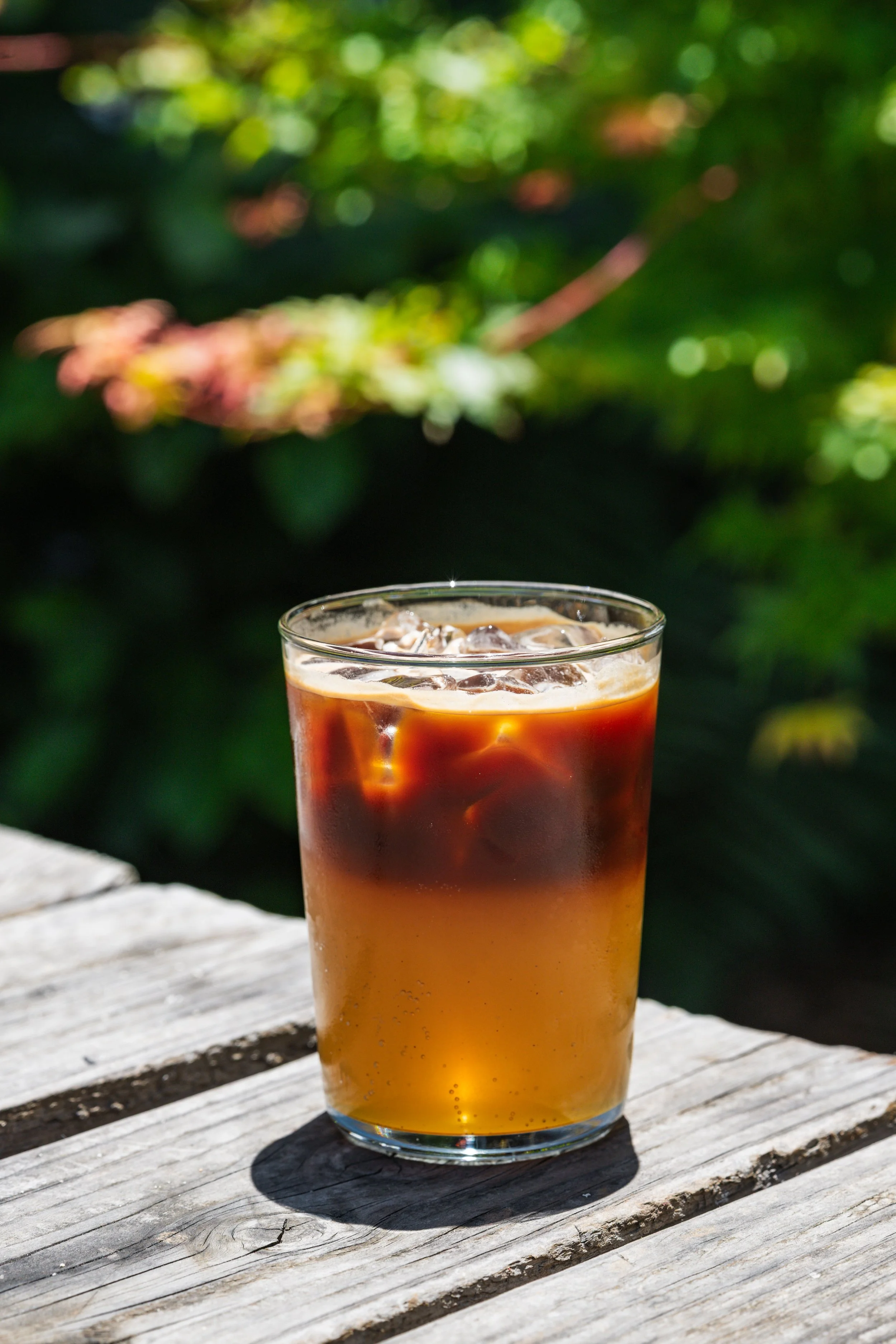 Tijuana Tonic