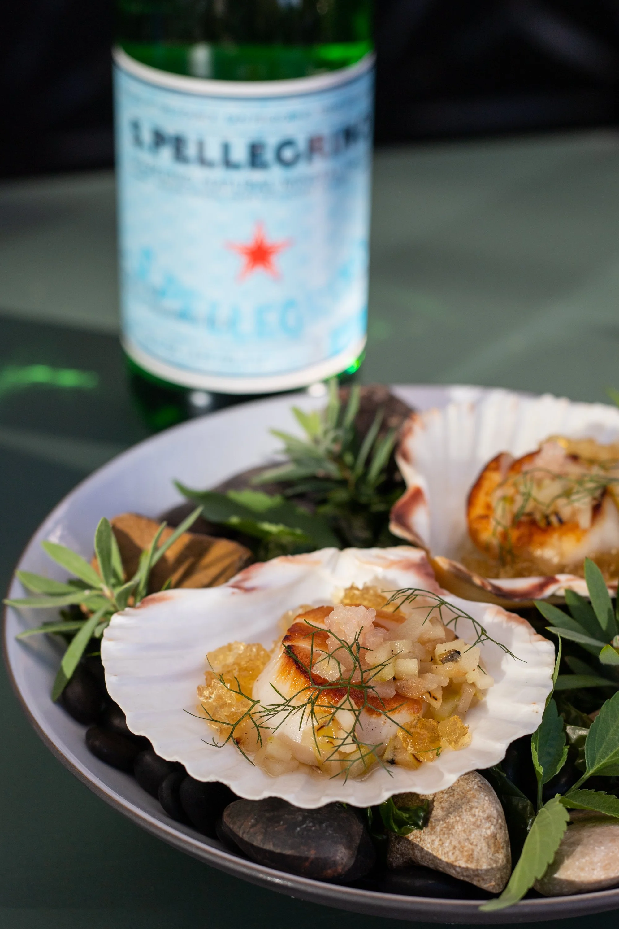 Diver Sea Scallops