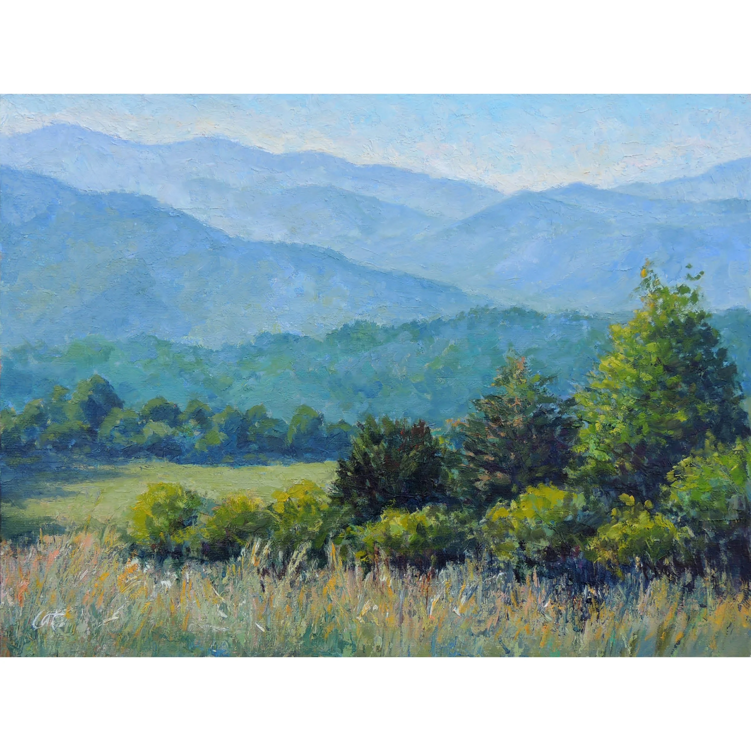 cades-cove_web_square.jpg