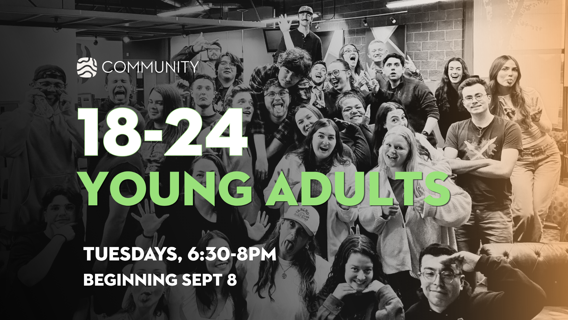 Young Adults (18-24)
