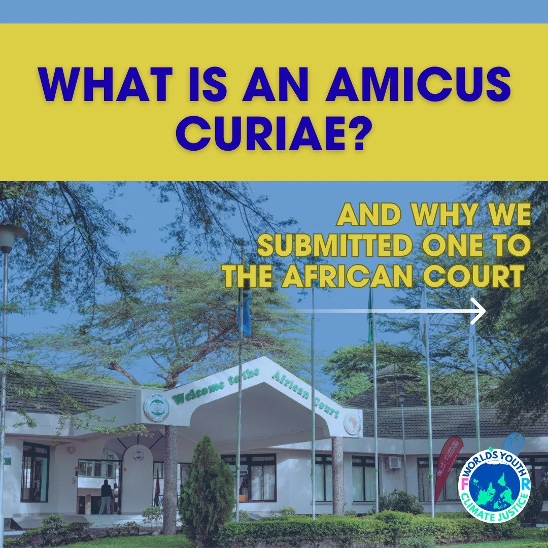 📣 On 30 March, 2026, World's Youth for Climate Justice submitted its amicus curiae to the African Court on Human and Peoples'​ Rights in which we share our views on some of the questions from the advisory opinion request submitted by Pan African Law