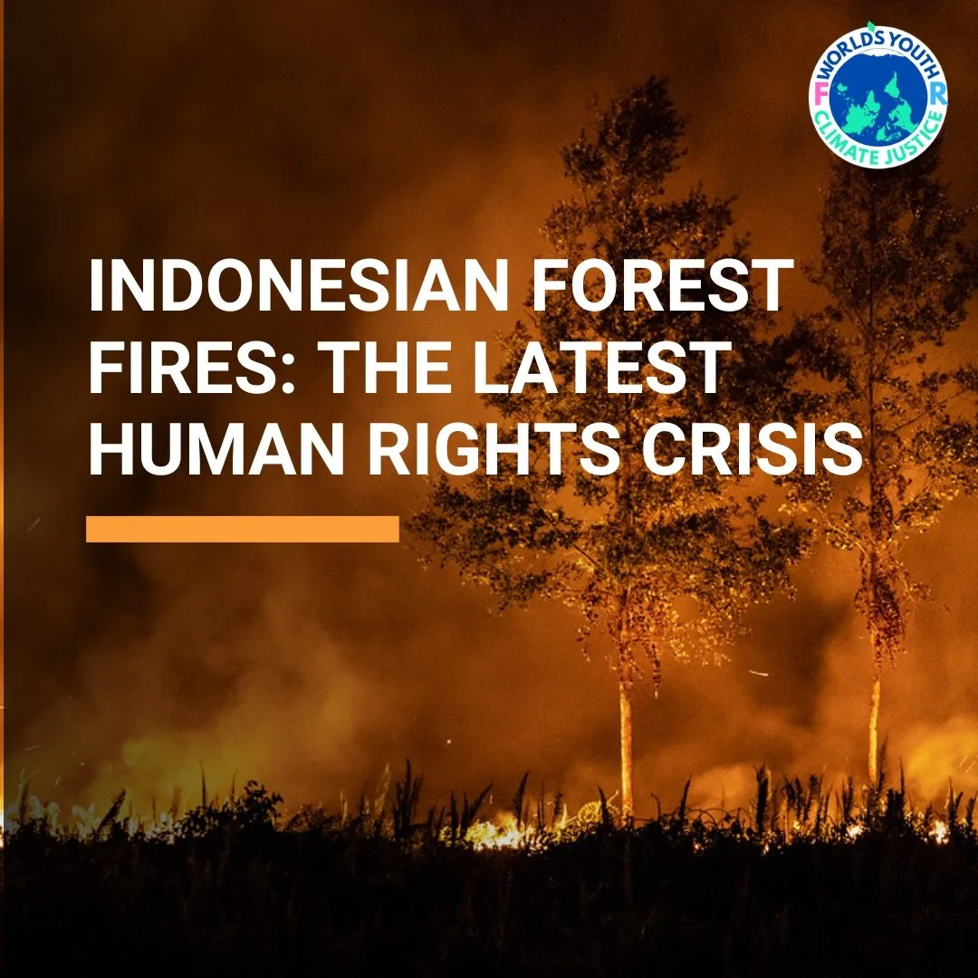 Indonesia has been burning for months, and the toxic haze has covered the region. Thousands of people, including children, are suffering from lung disease while the government has still not taken concrete action to protect their right to health.

The
