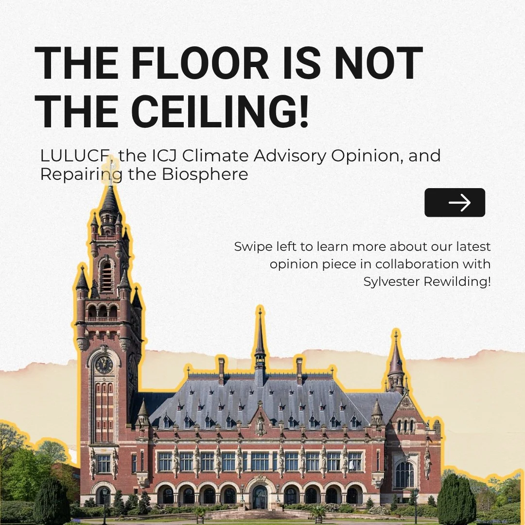 Our EU Front Campaigner Xano and Hedda from Sylvester Rewilding collaborated on a new opinion piece 📑🌳

It's about the ICJ's climate advisory opinion, what it means for the EU's LULUCF target, and why weakening it could breach international law. 

