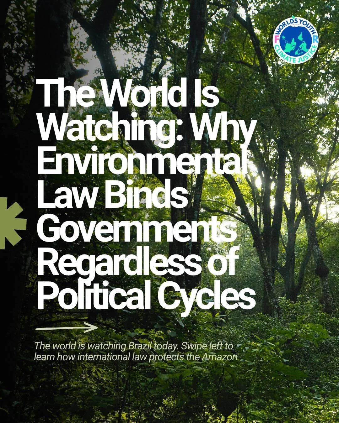 The world is watching Brazil! 🇧🇷🌍

Today, Brazil holds its presidential runoff election. But regardless of who wins, the legal obligation to protect the environment remains

Our recent opinion piece written by Helena Szczupak, Mariana Campos, Henr