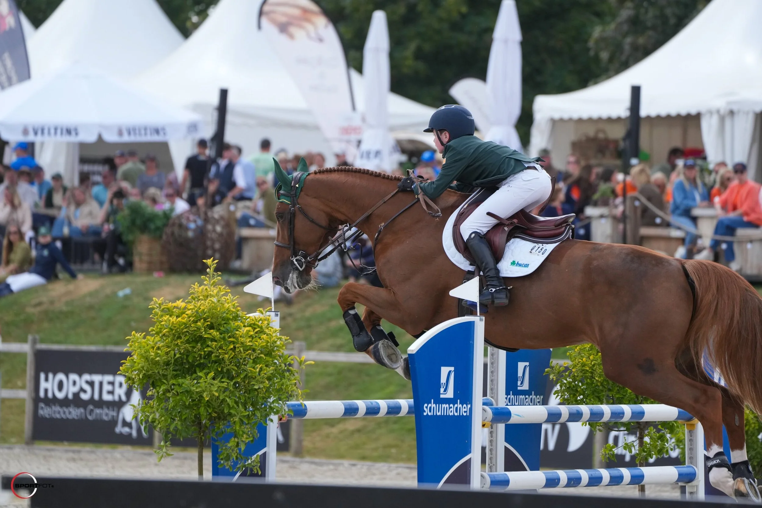 Benjamin OConnor - Fox Chapel © sportfot 1859-NH208815.jpg