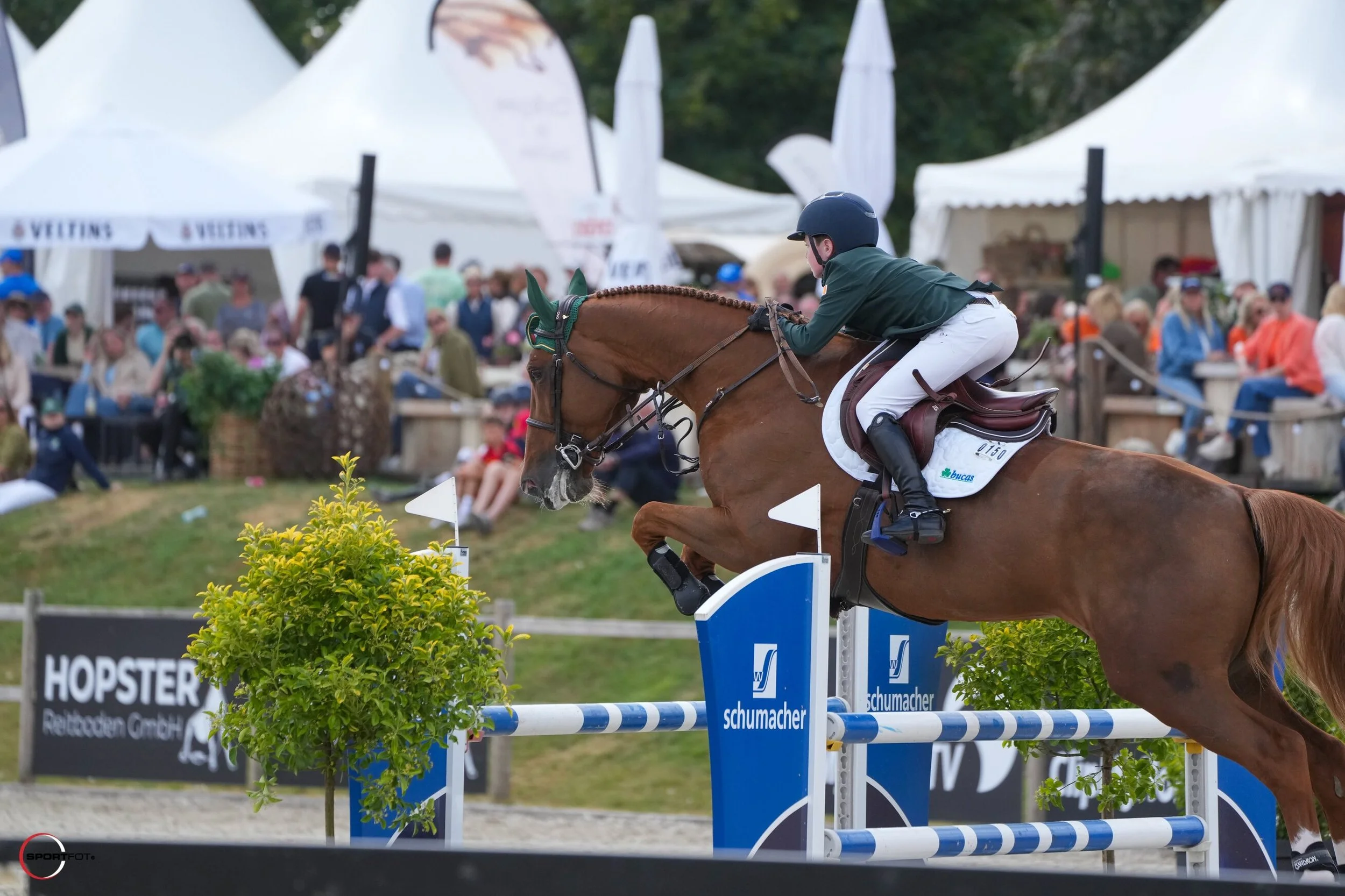 Benjamin OConnor - Fox Chapel © sportfot 1859-NH208814.jpg