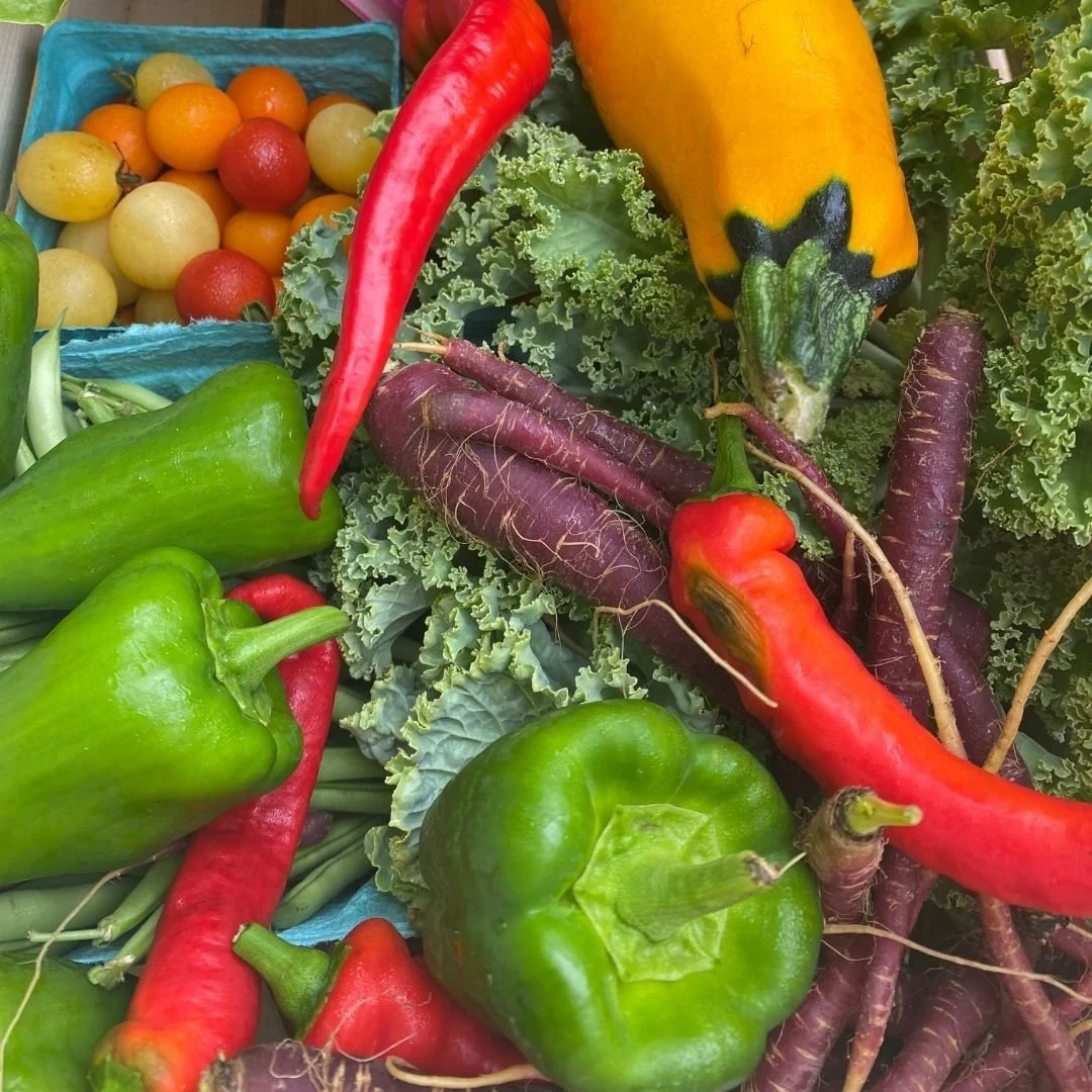 Blog — The Indy Winter Farmers Market