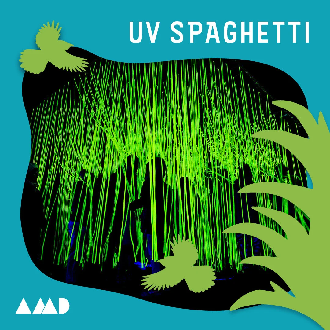 WLA_Activities_Day_AMD_UVspaghetti.jpg