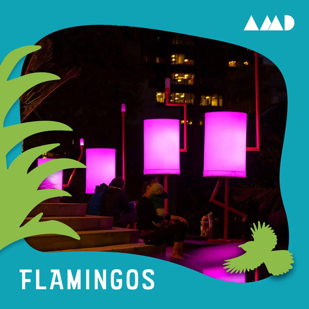 WLA_Activities_AMD_Flamingos copy.jpg