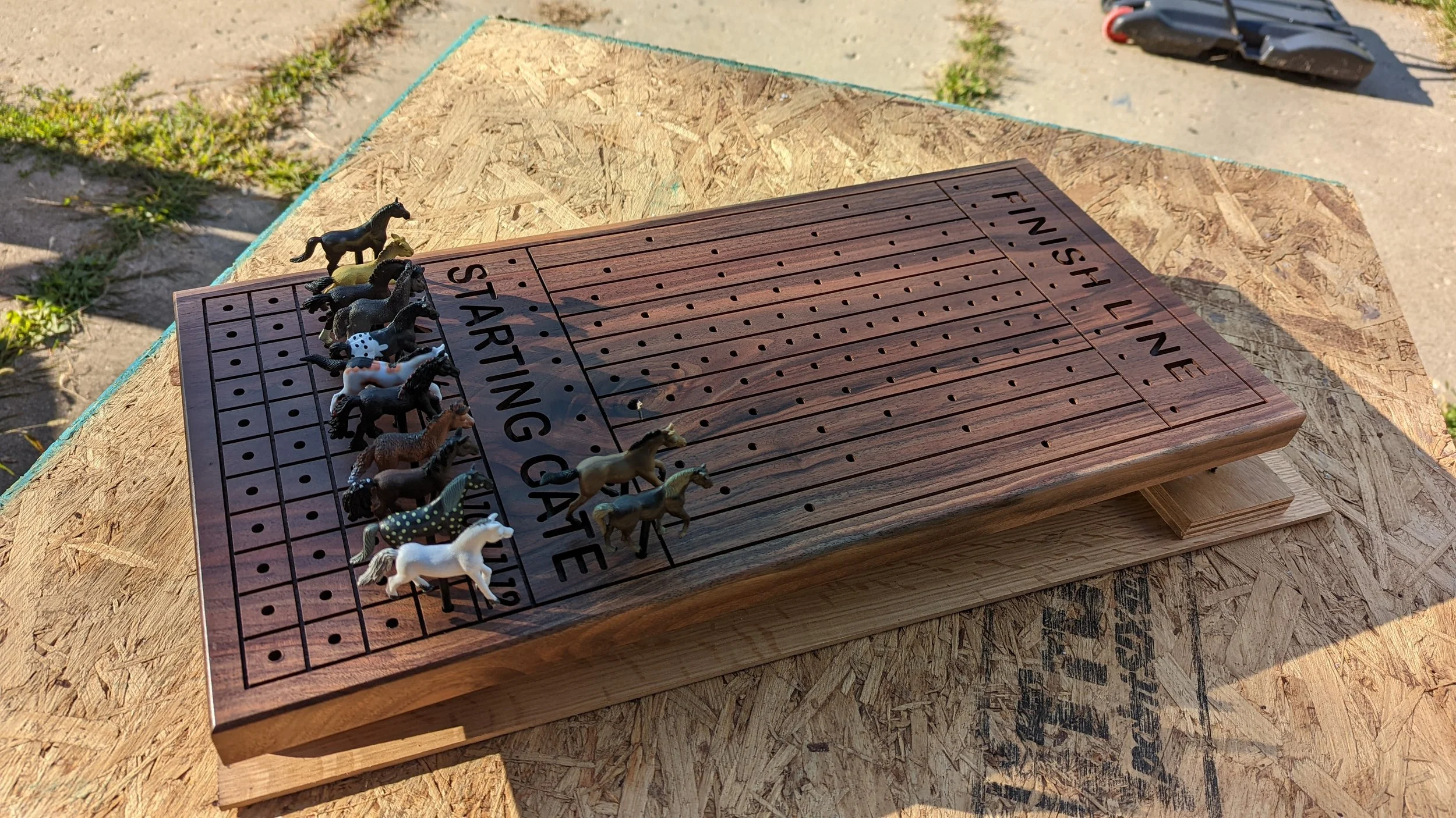 CUSTOM HORSE RACE GAME.jpg