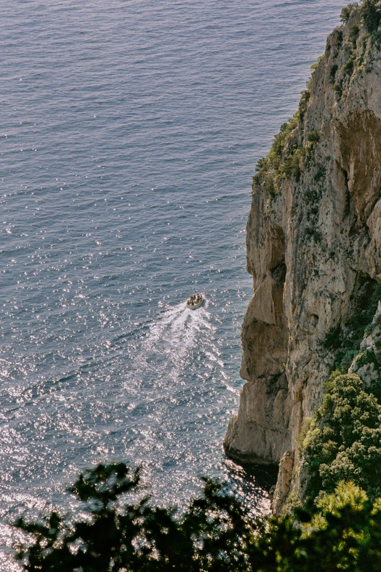 capri2025-11.jpg