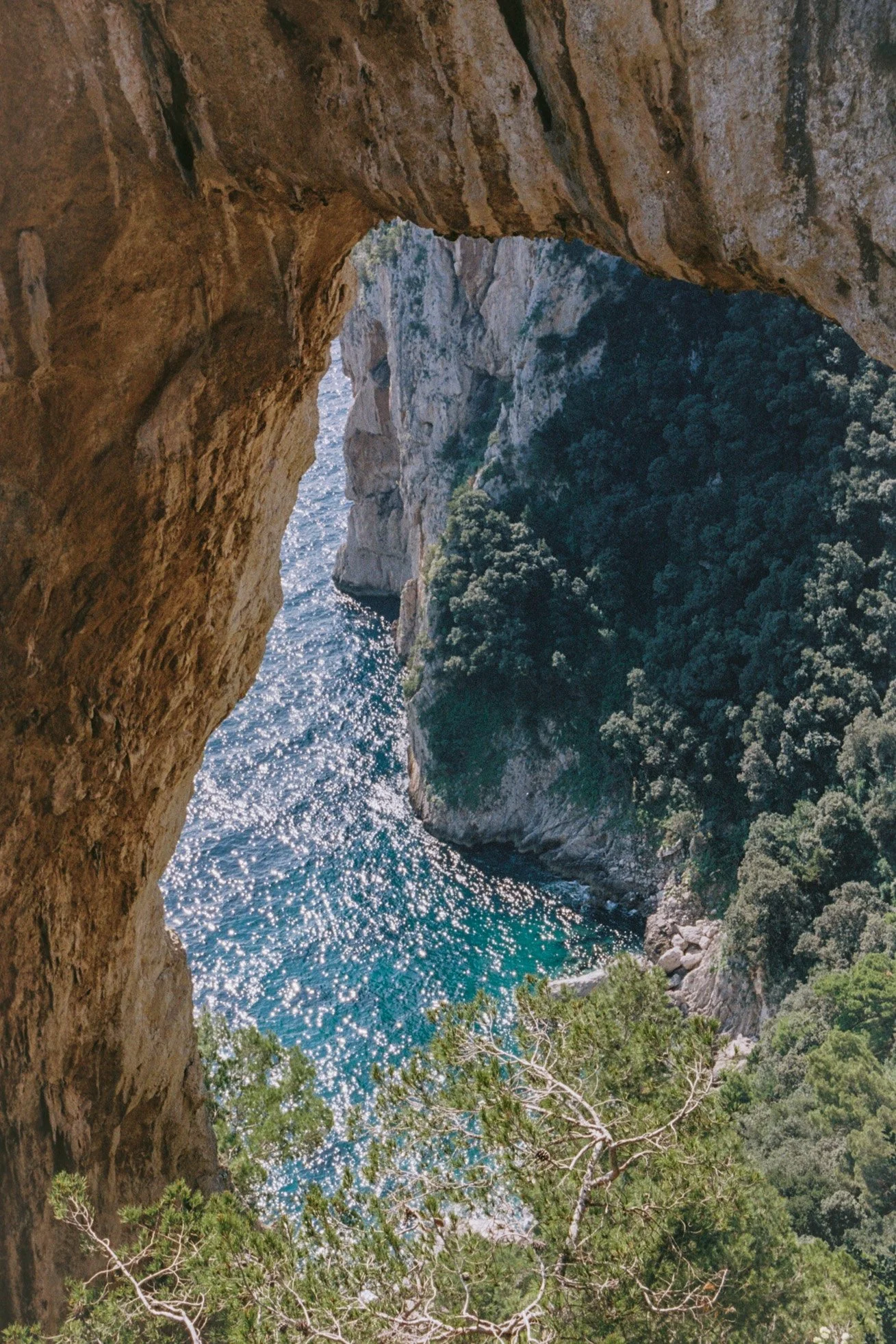 capri2025-6.jpg