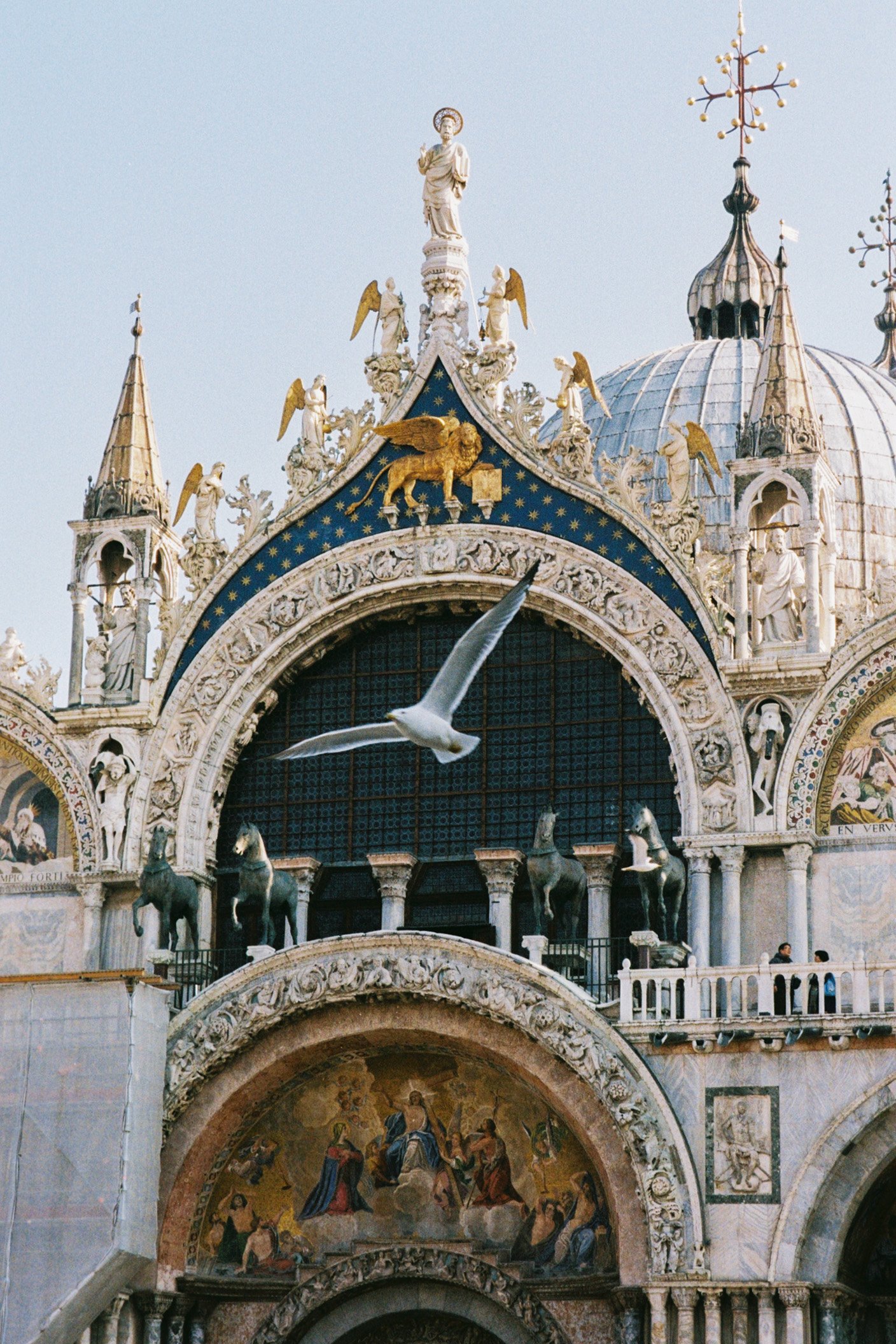 venice2025-8.jpg