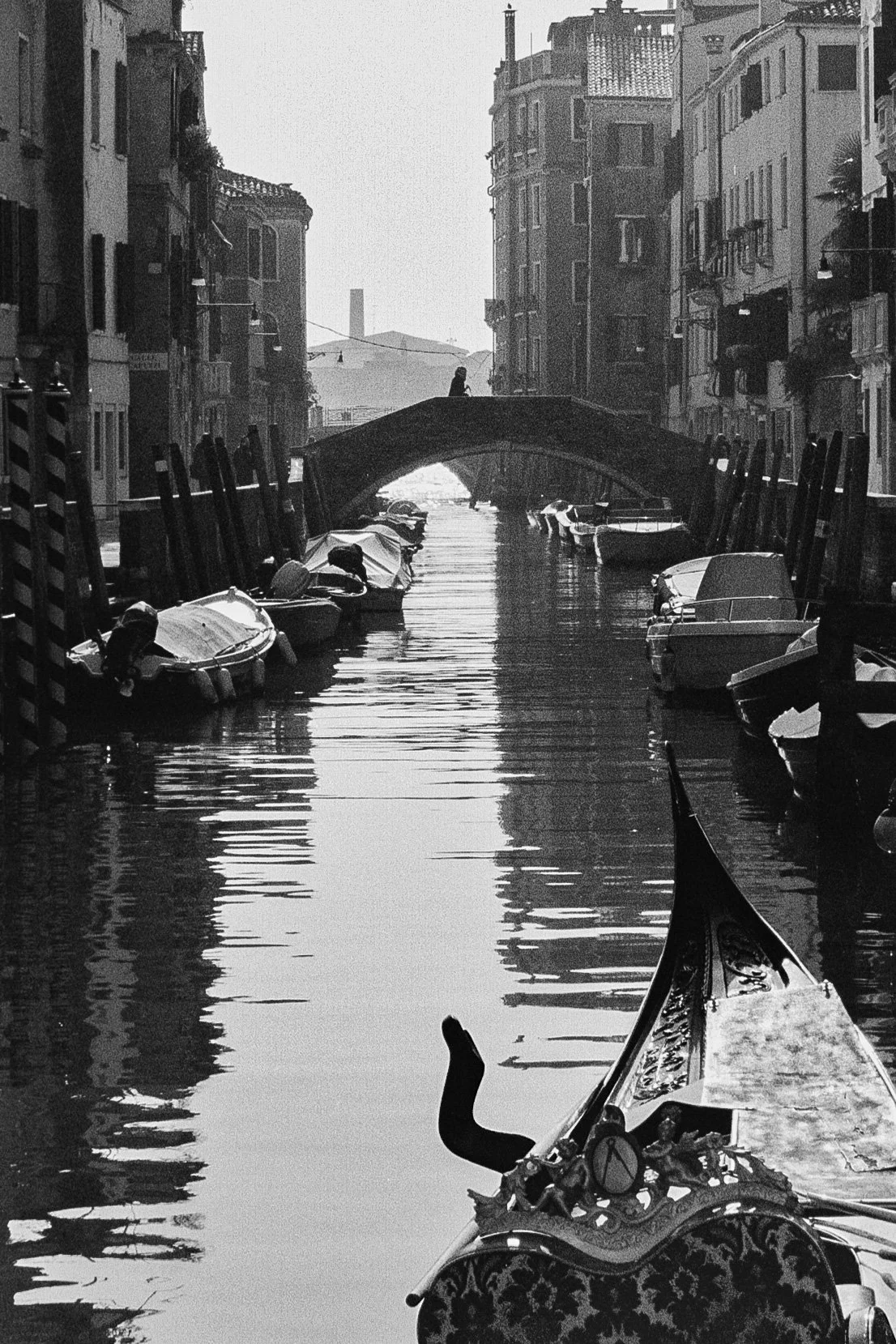 venice2025-16.jpg