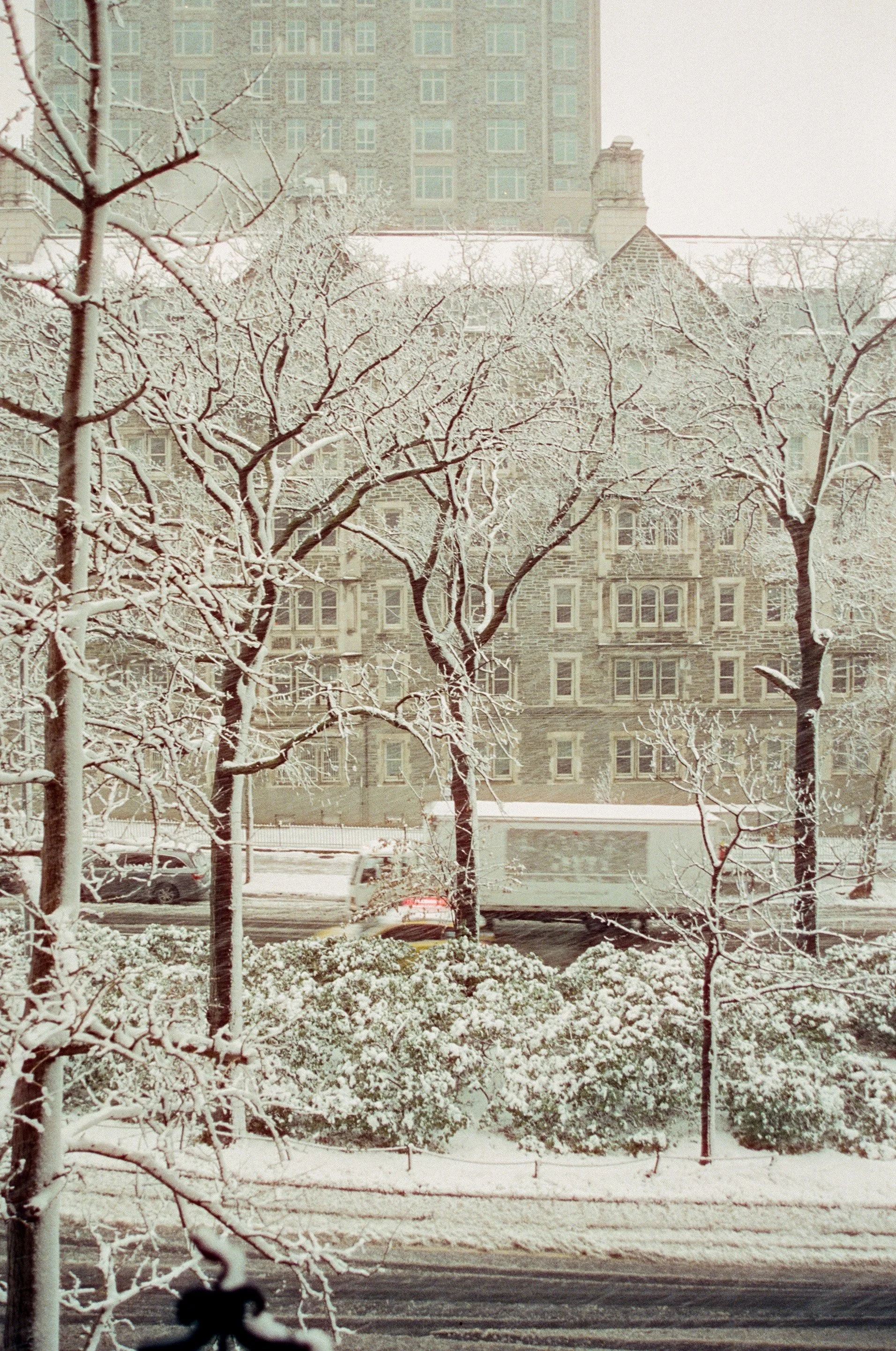 ny24-6.jpg