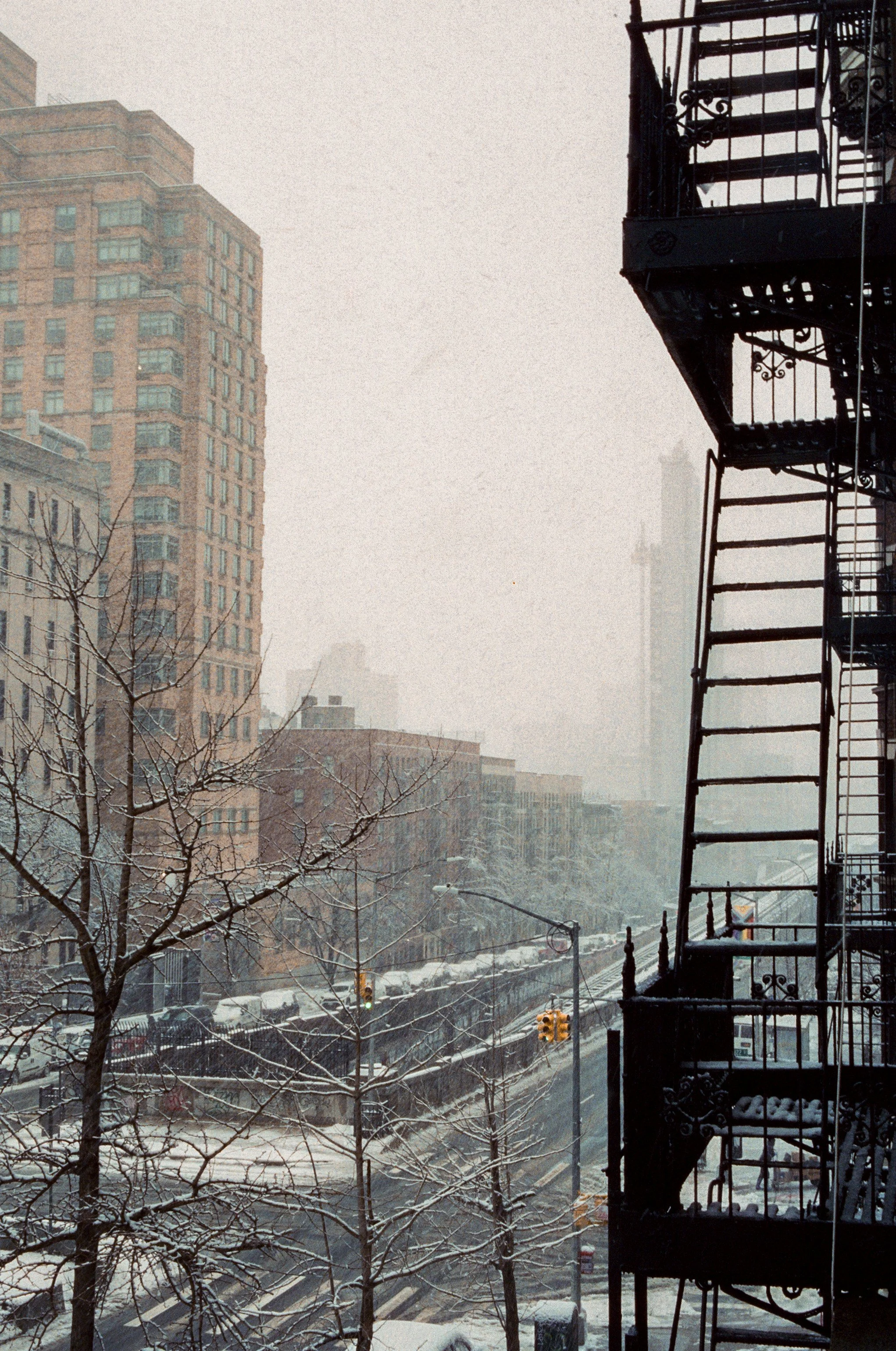 ny24-9.jpg