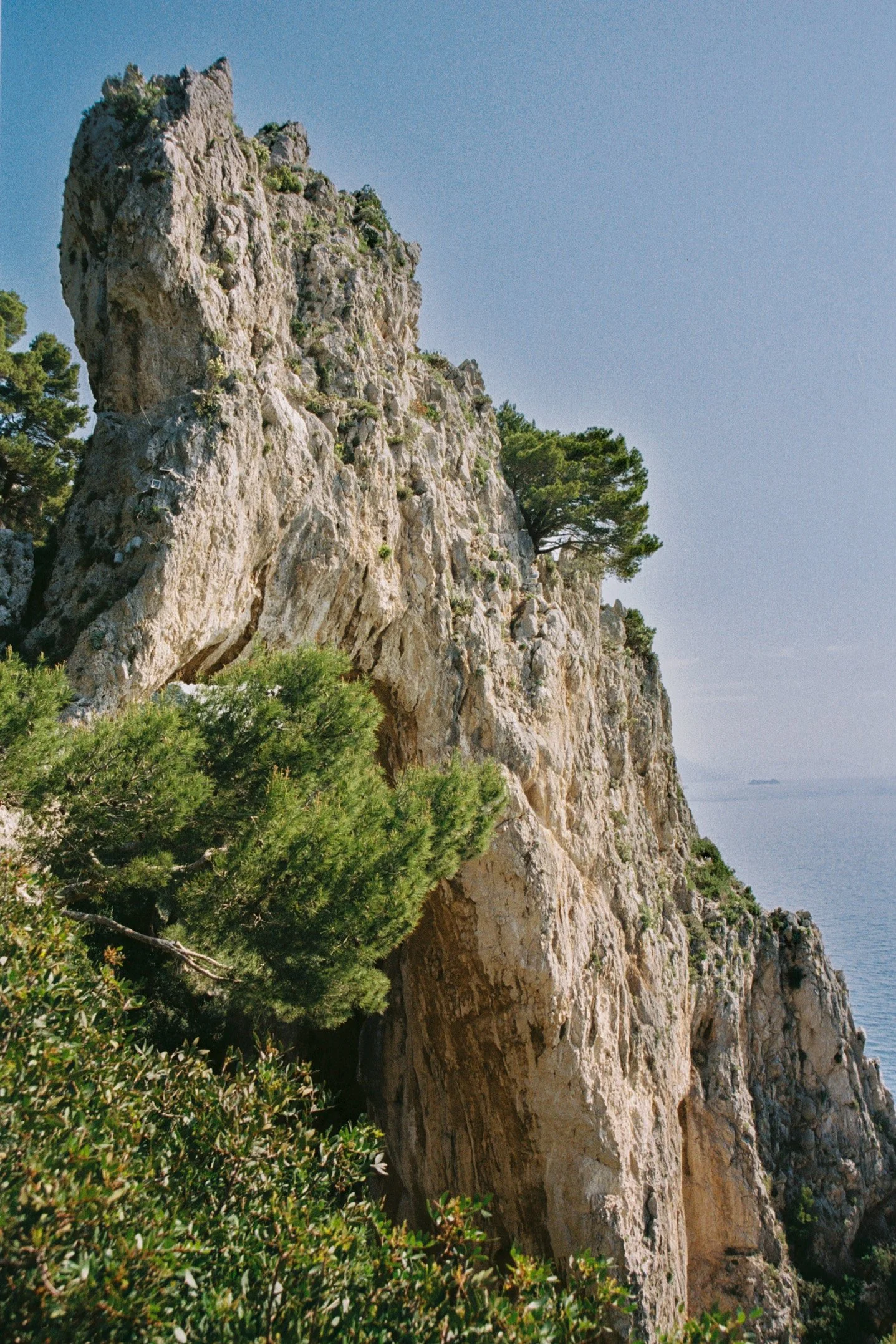 capri2025-5.jpg