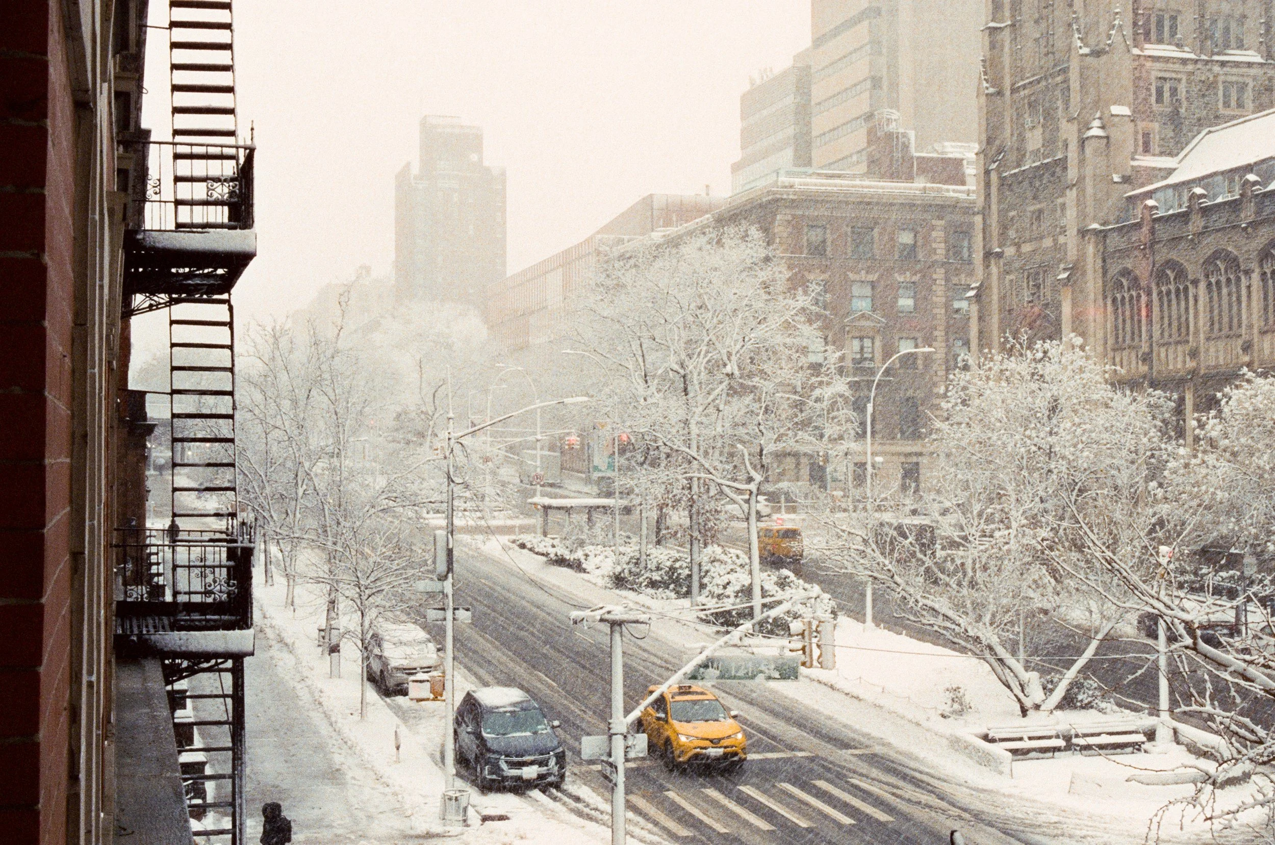 ny24-8.jpg