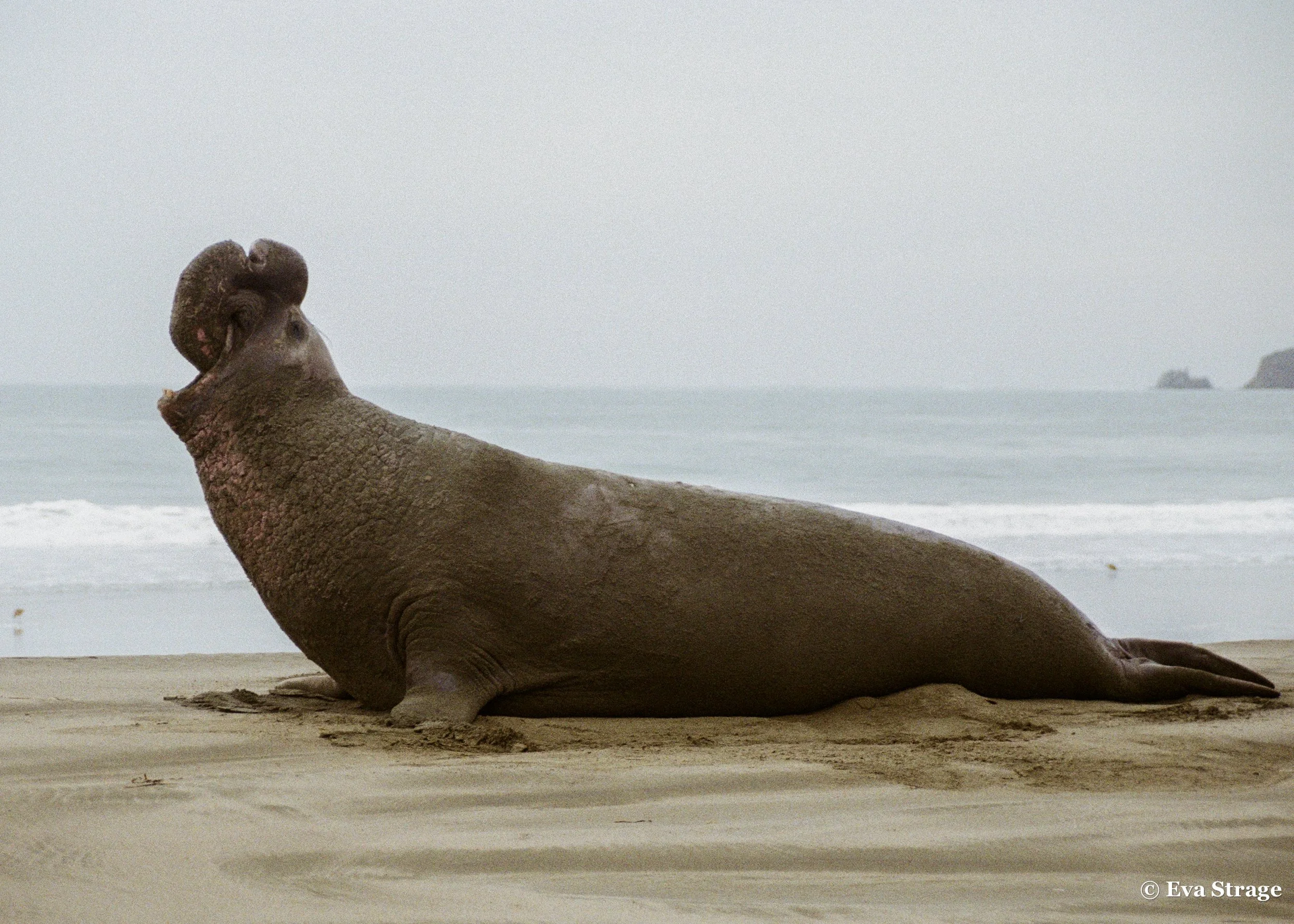 California, USA