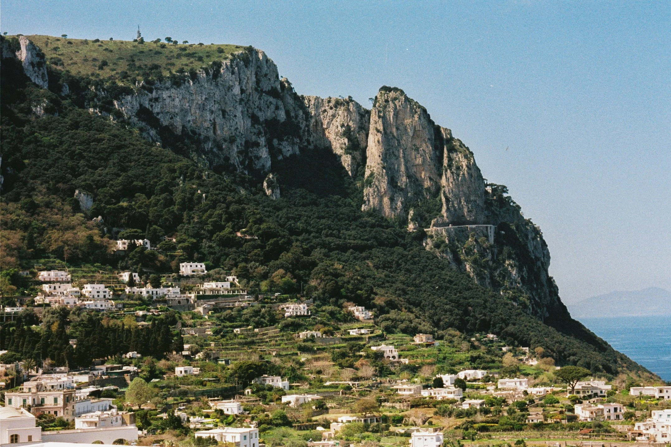 capri2025-3.jpg