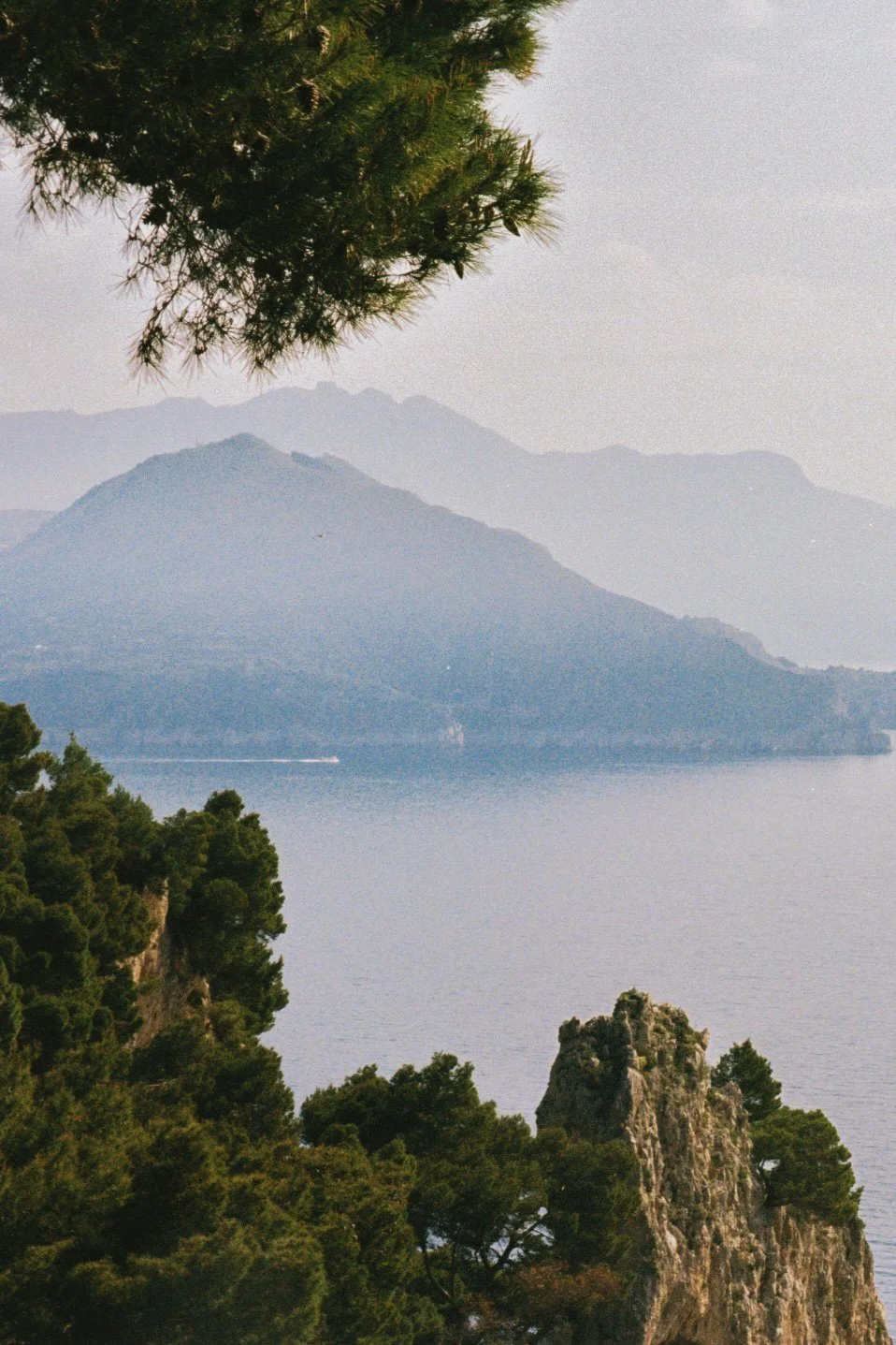 capri2025-8.jpg