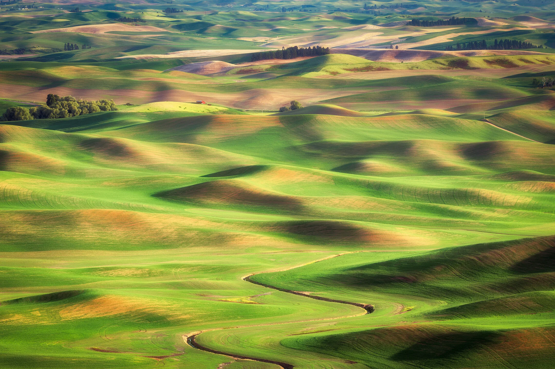 classic-palouse.jpg