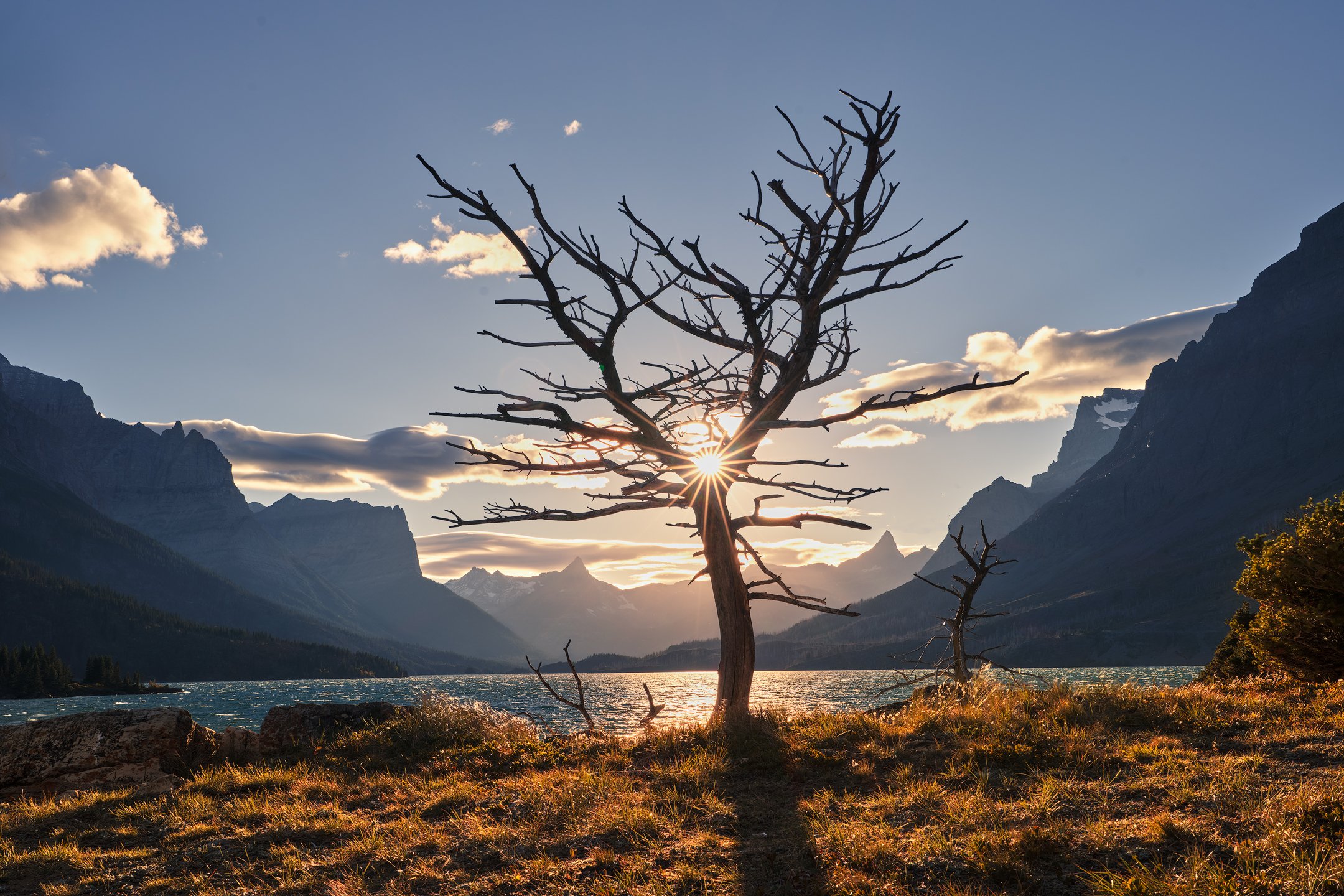 Glacier sunstar