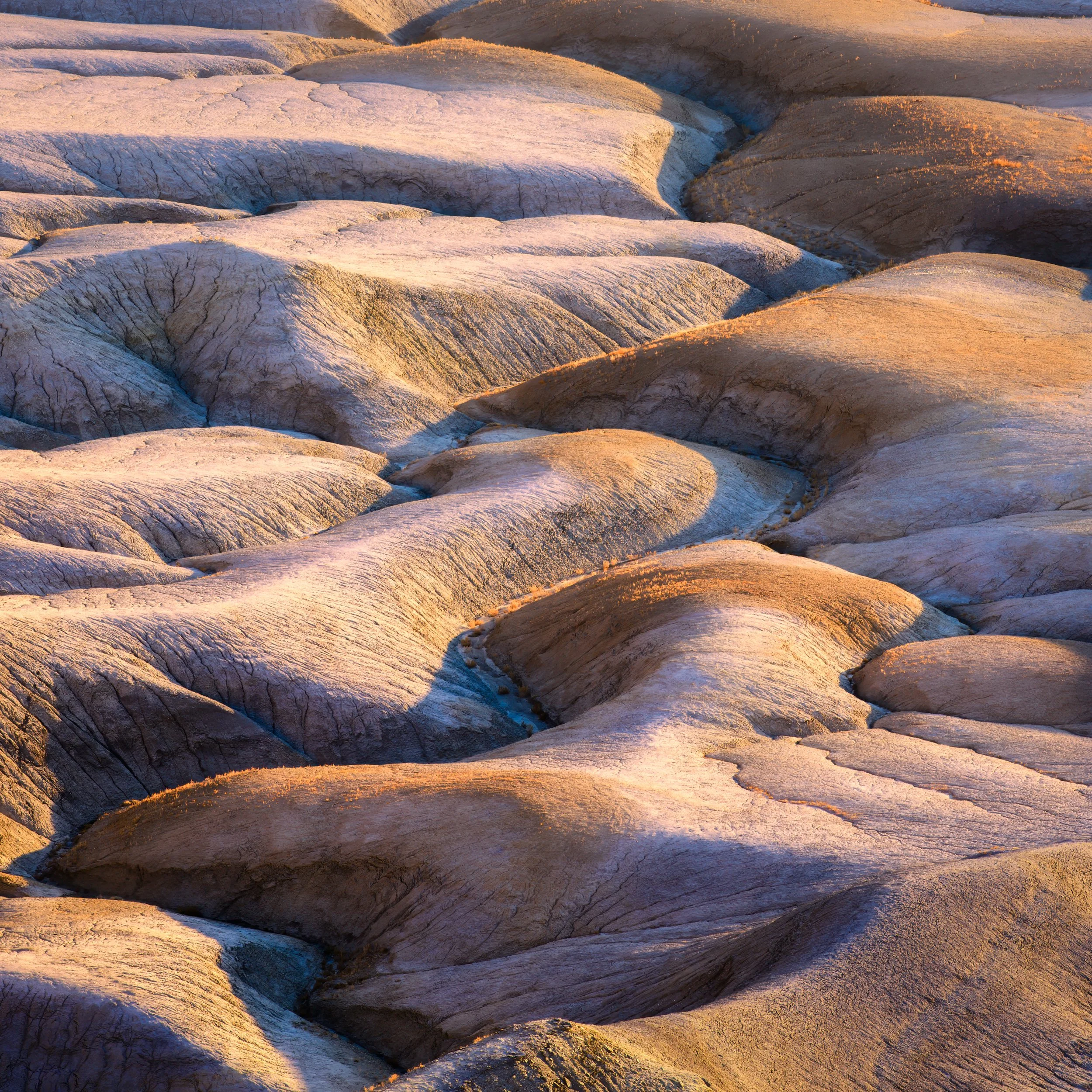 DSC_3053-Edit.jpg