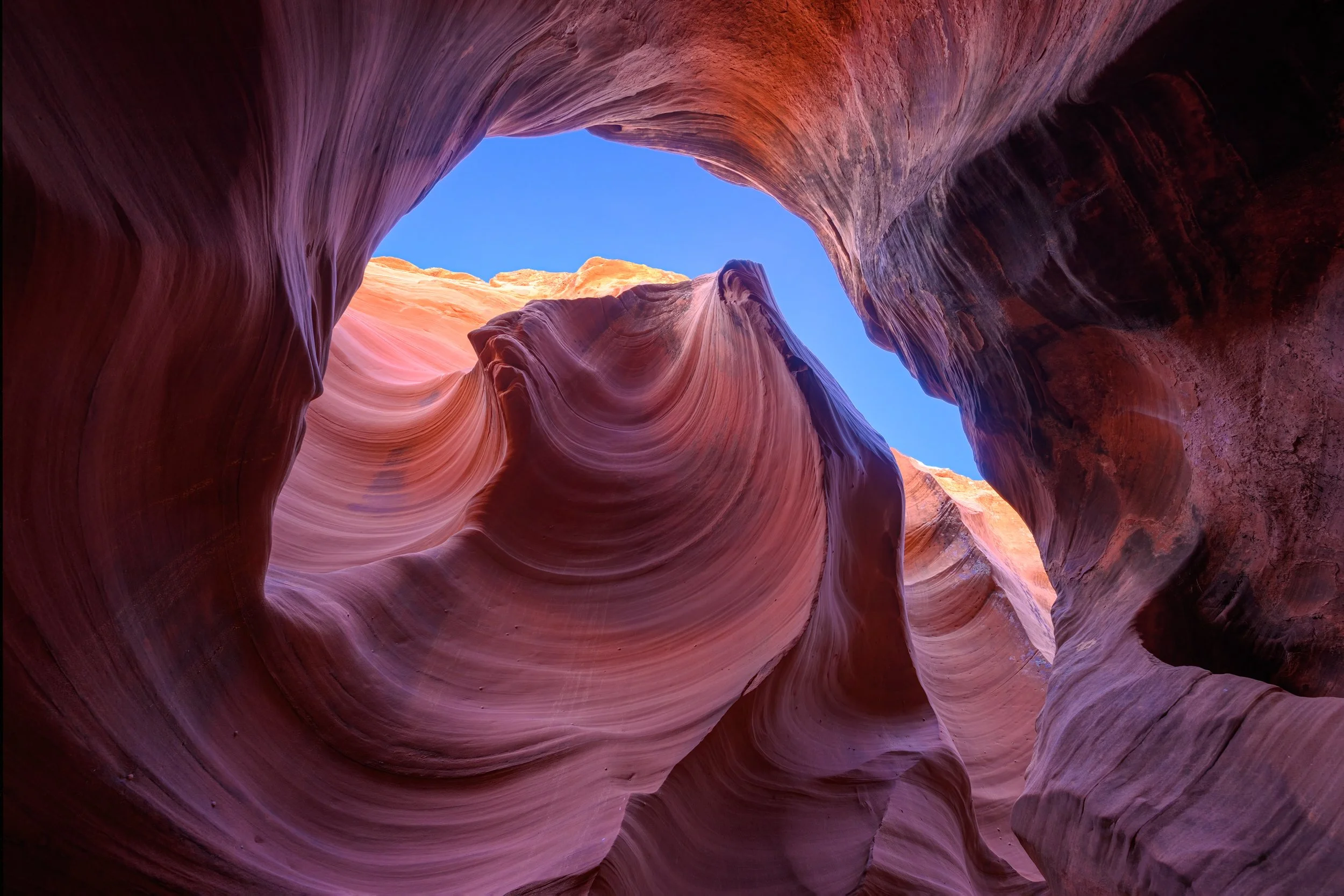 Canyons and Red Rocks